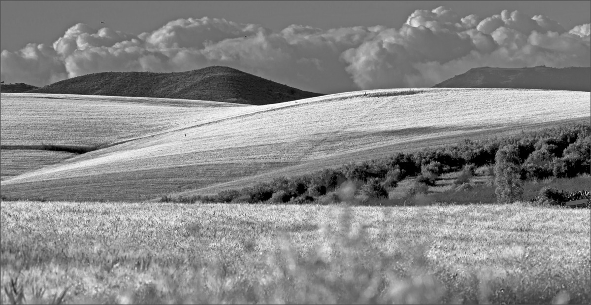 Pomeriggio siciliano 3