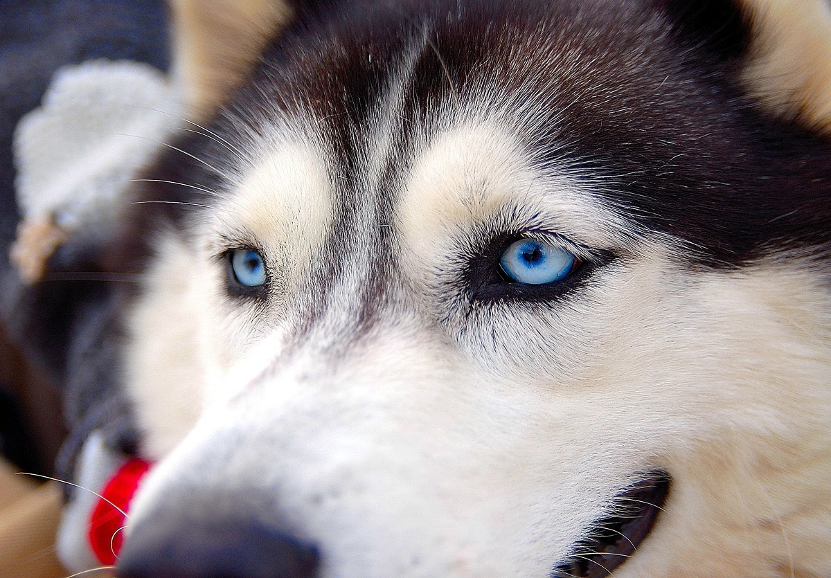 Immersed in Thoughts