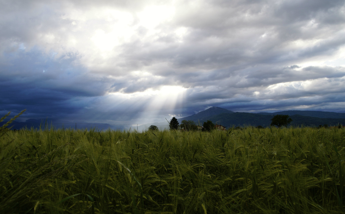 Threats from the sky