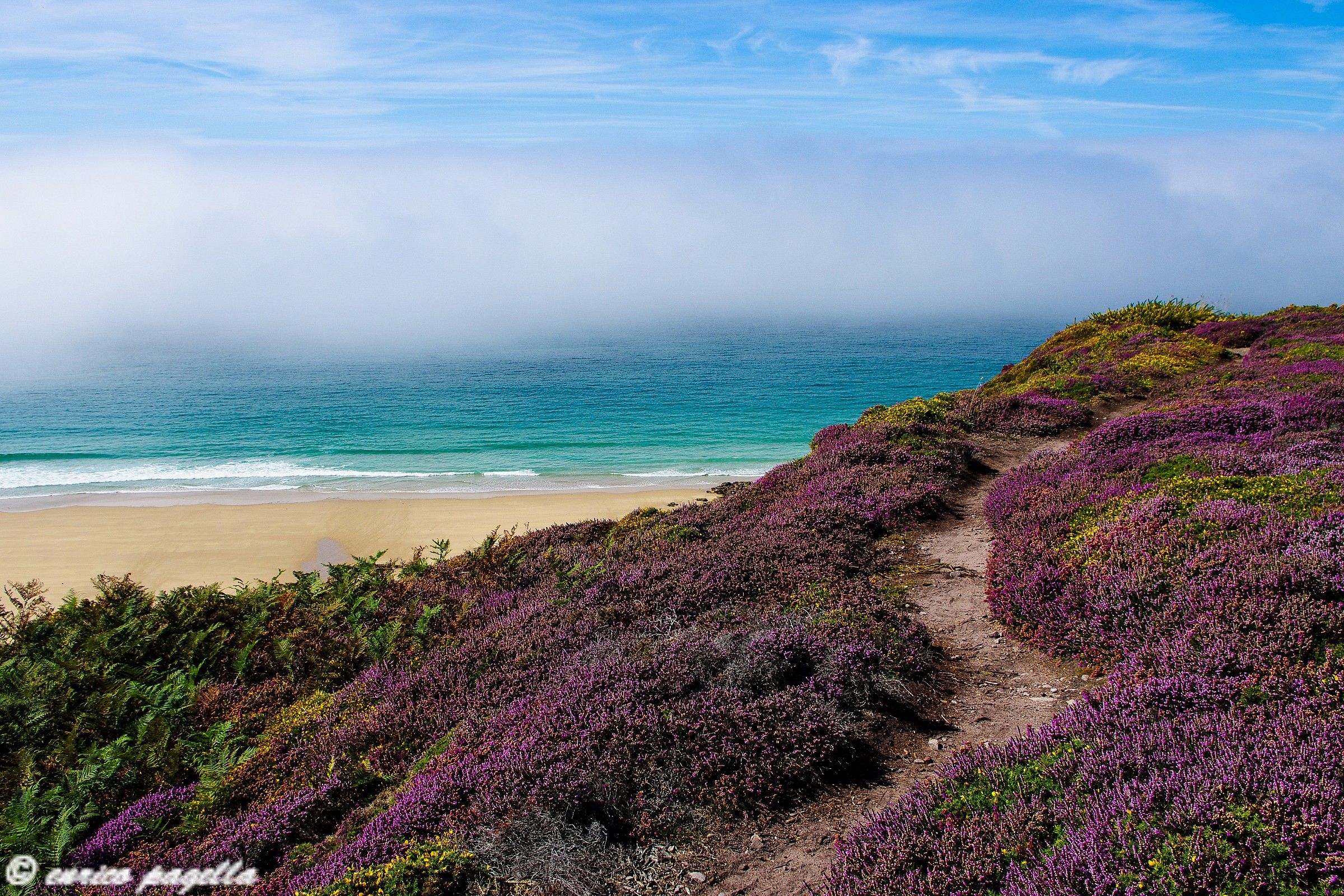 The spectacular colors of the Breton coast