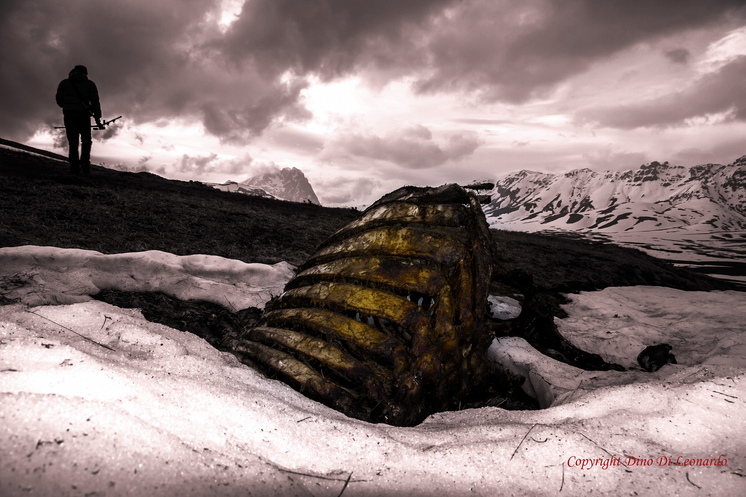 The Last Hunt "photographic"