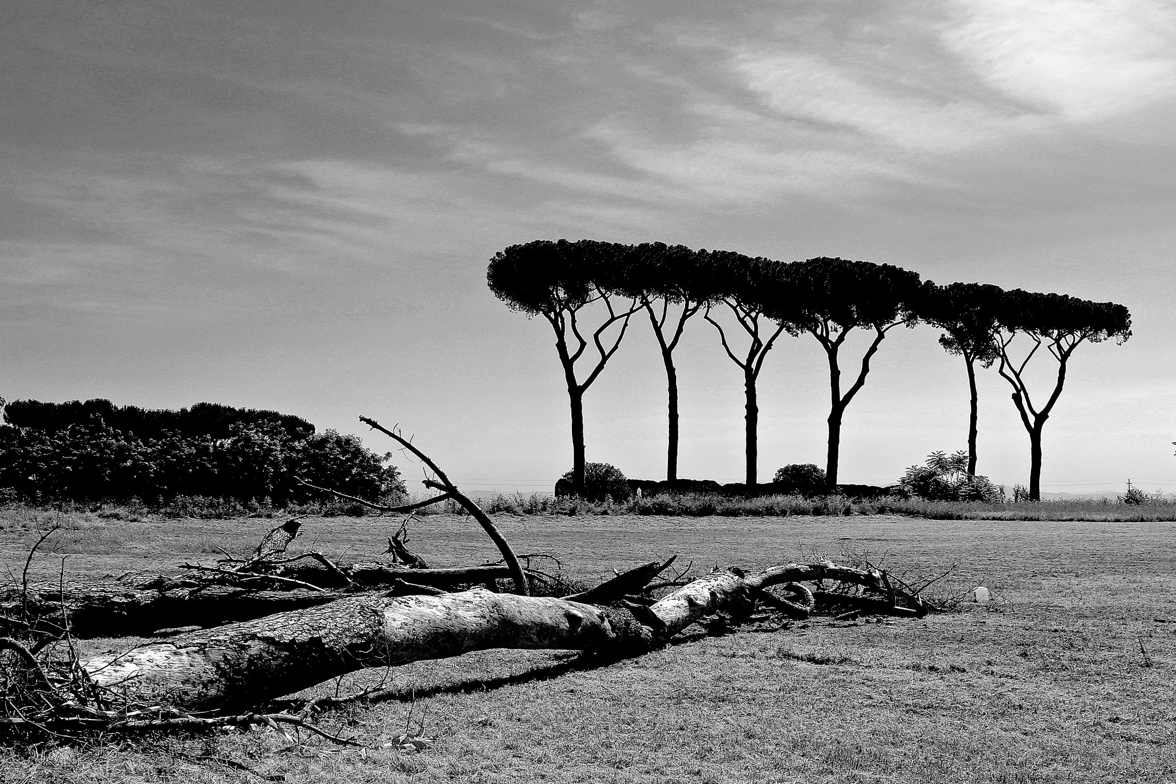 Parco degli Acquedotti, Roma