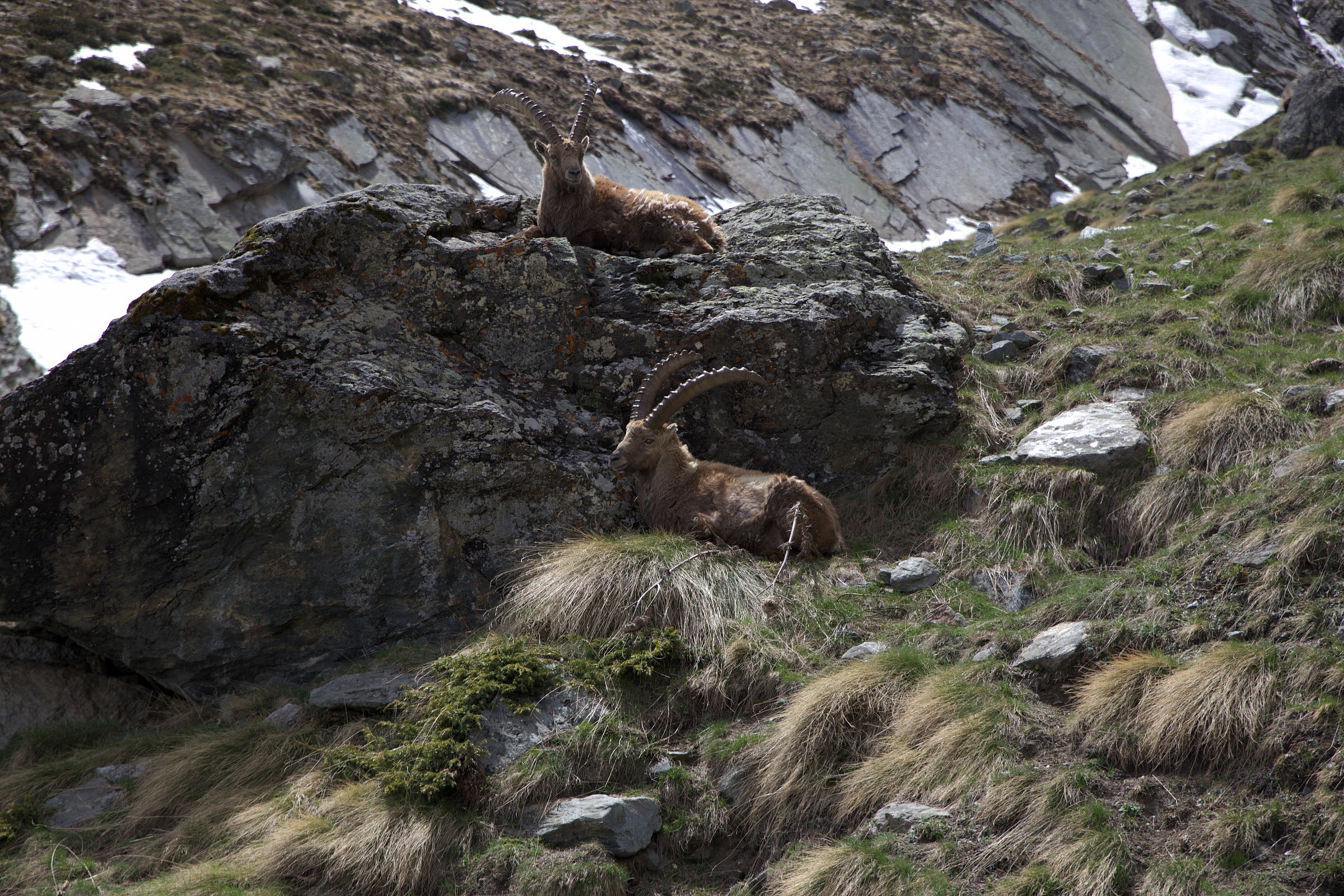 Val di Cogne-Near the shelter V.Sella