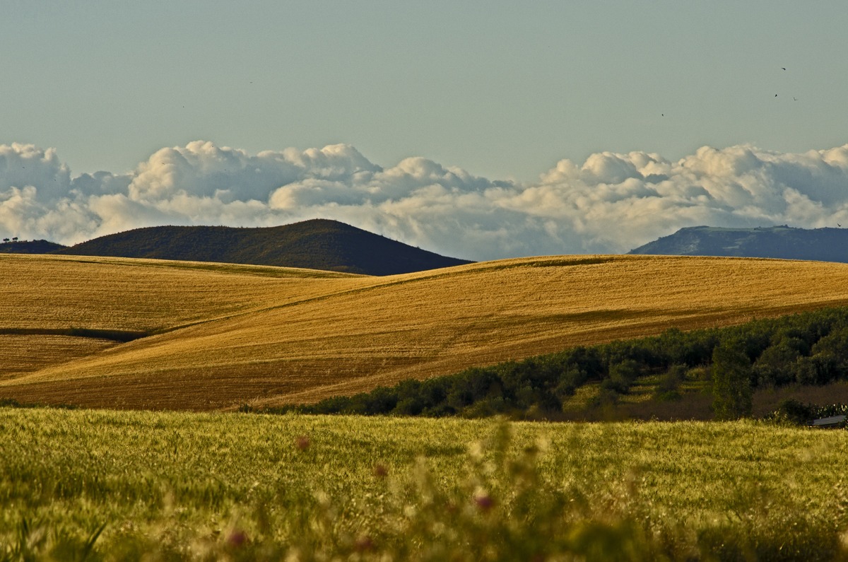 Pomeriggio siciliano 4