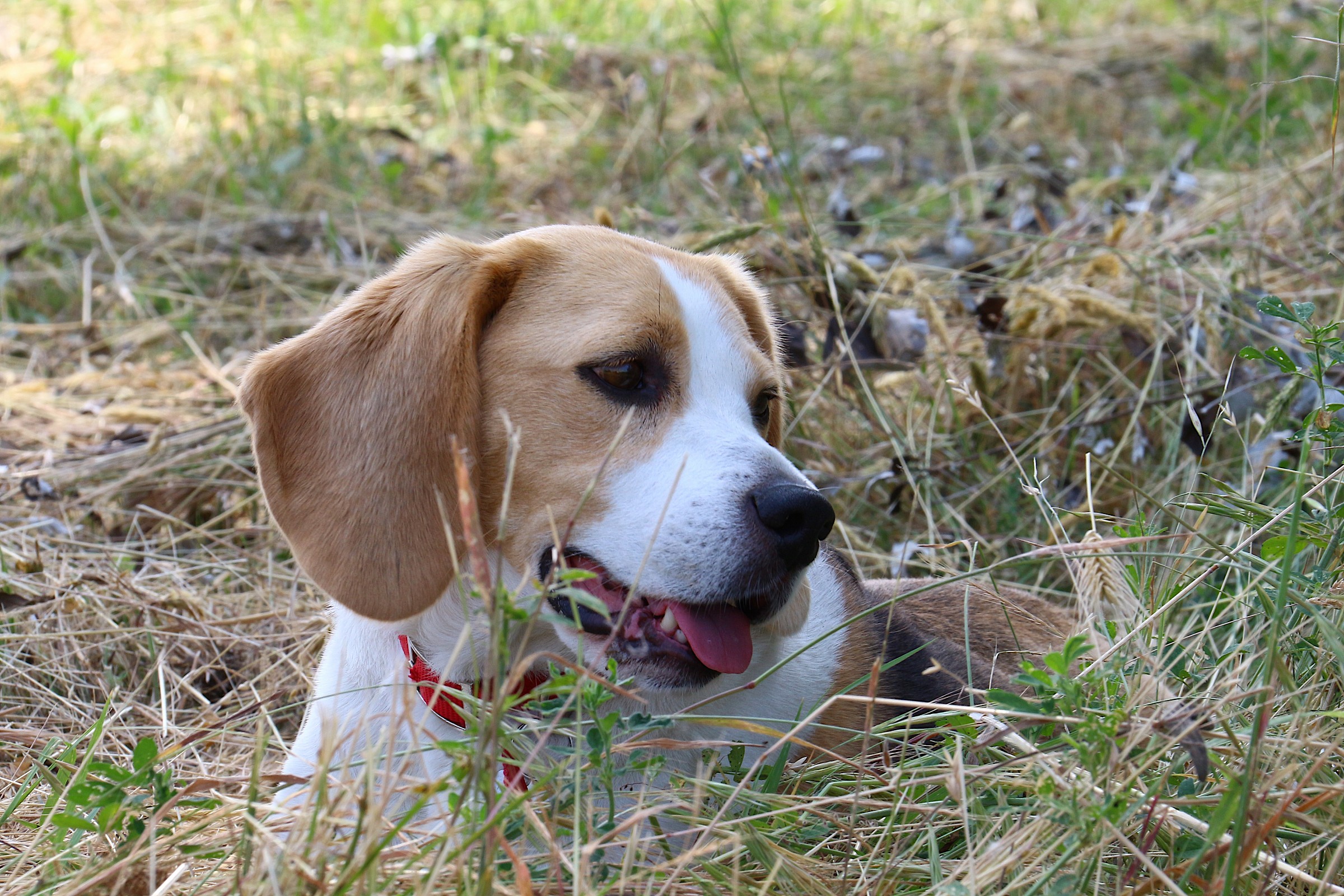 Tra un po' andiamo, vero?