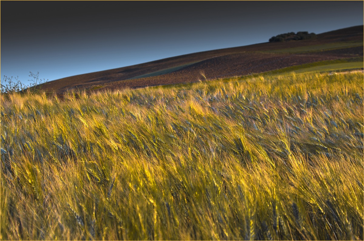 Pomeriggio siciliano