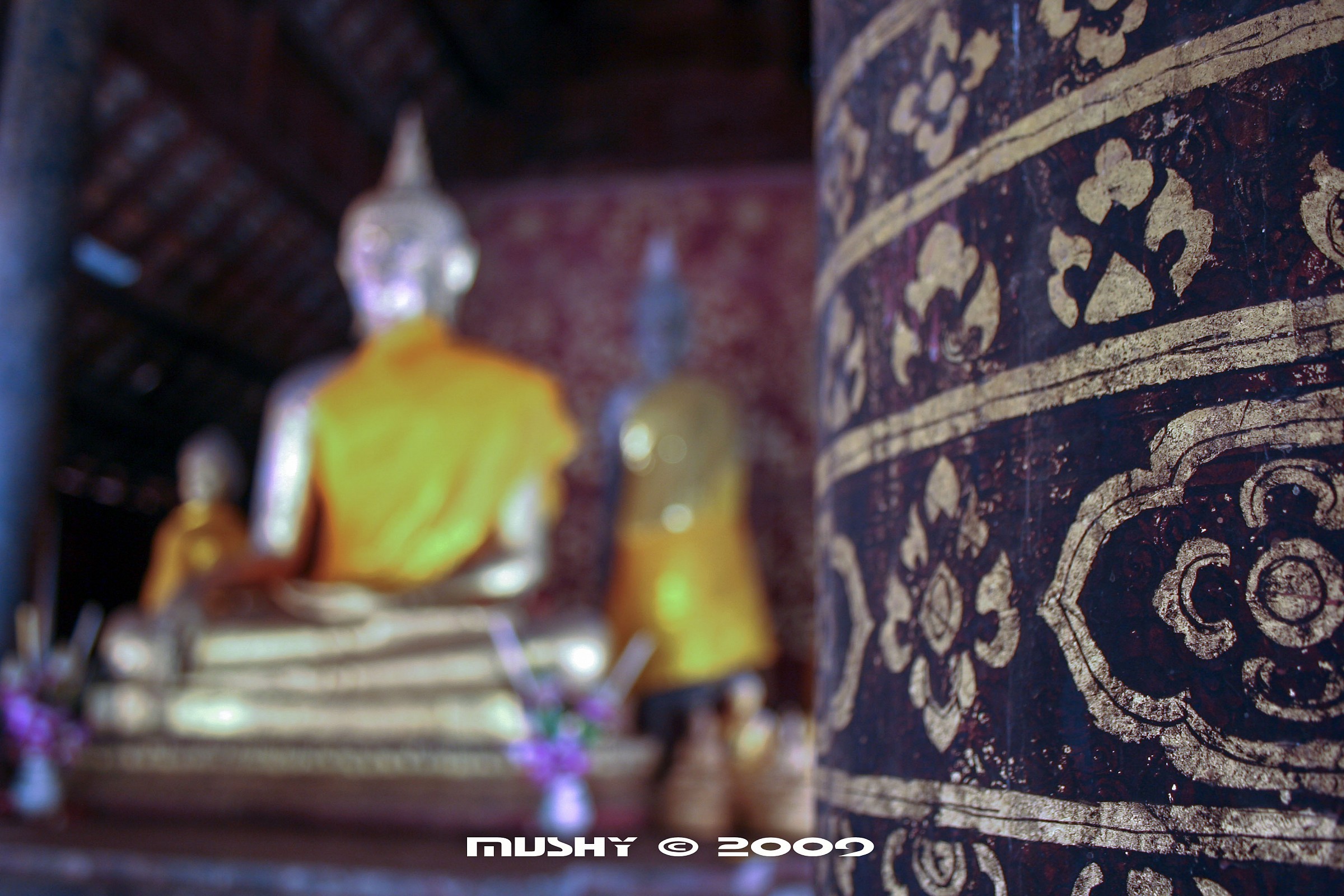 Da qualche parte in Tailandia...