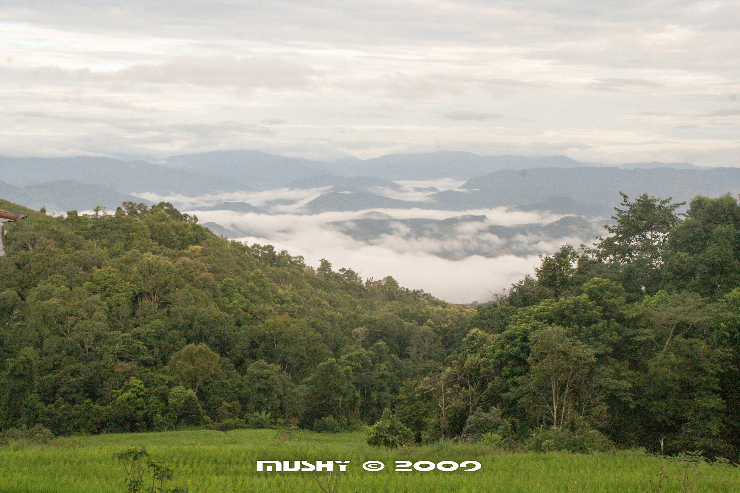 Nella zona di Chiang Mai