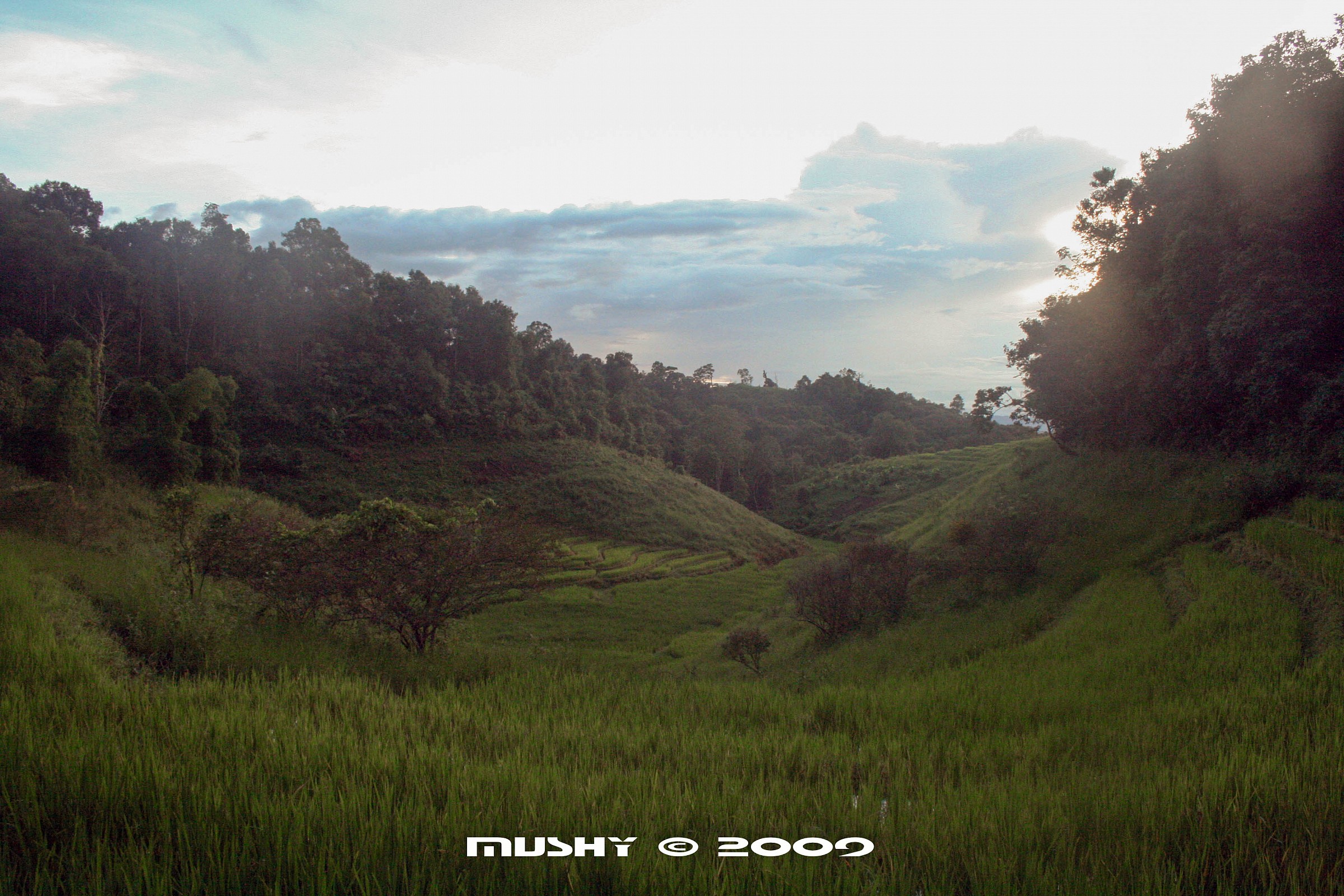 Nella zona di Chiang Mai