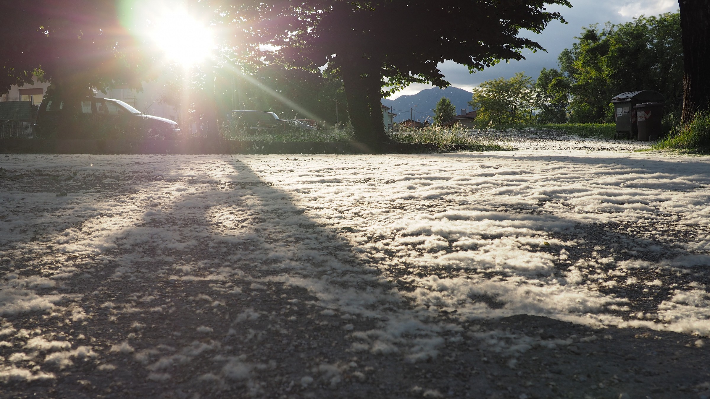 Nevicata di polline...