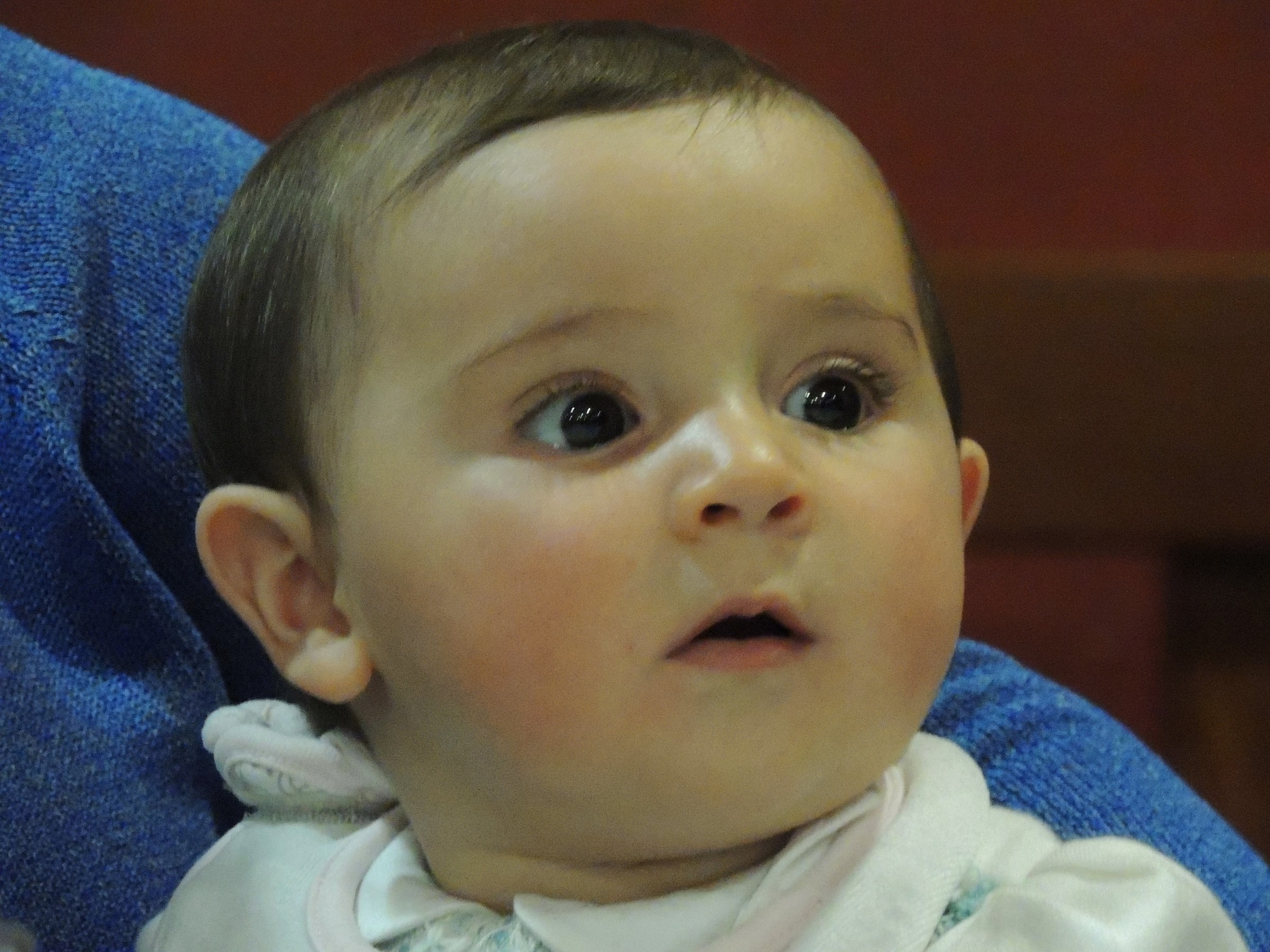 Lo sguardo di Lavinia