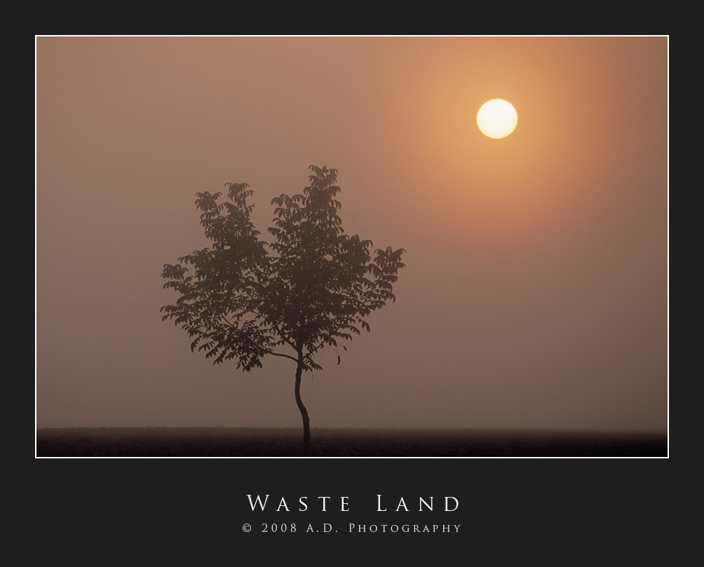 Waste Land