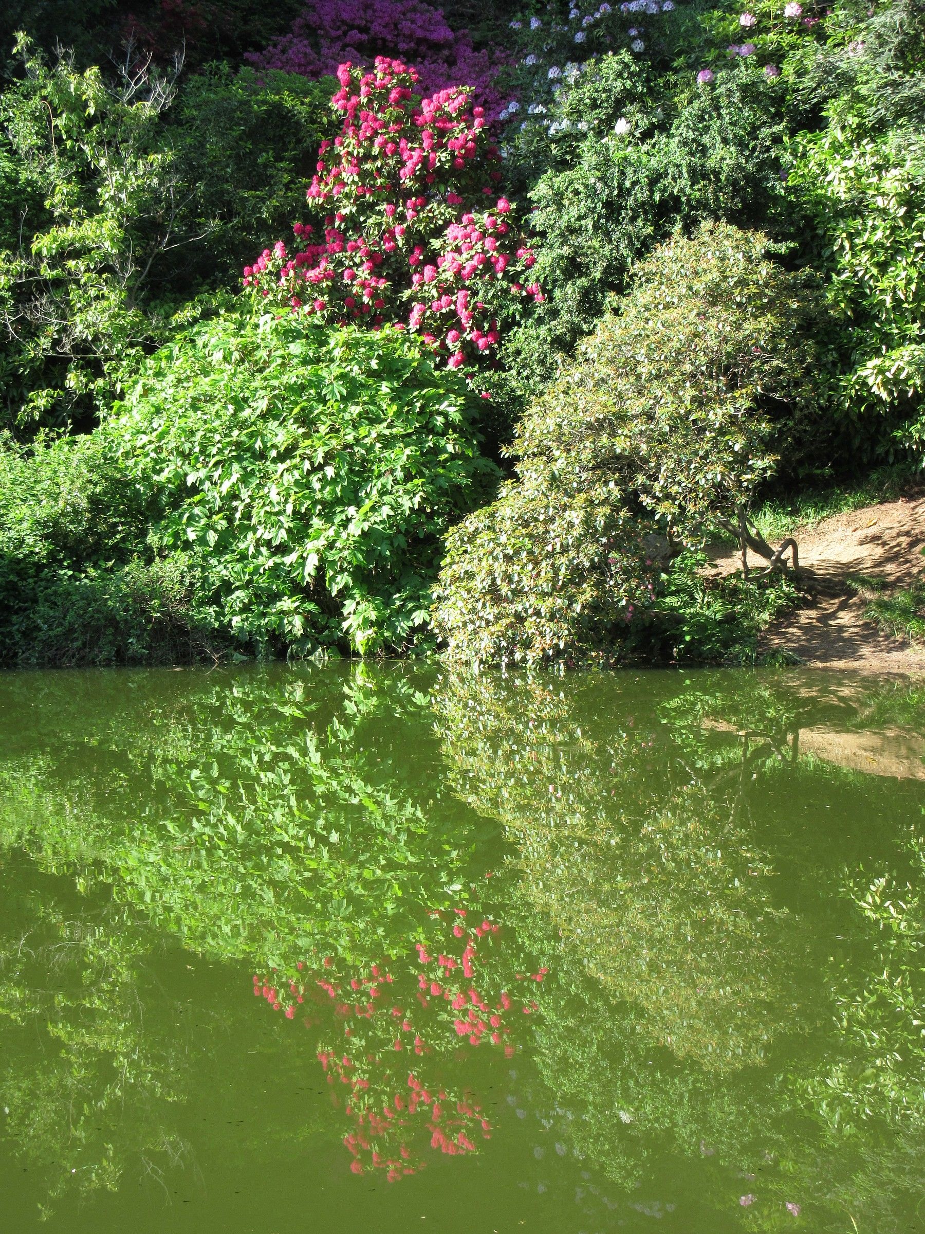 reflections on unostagno