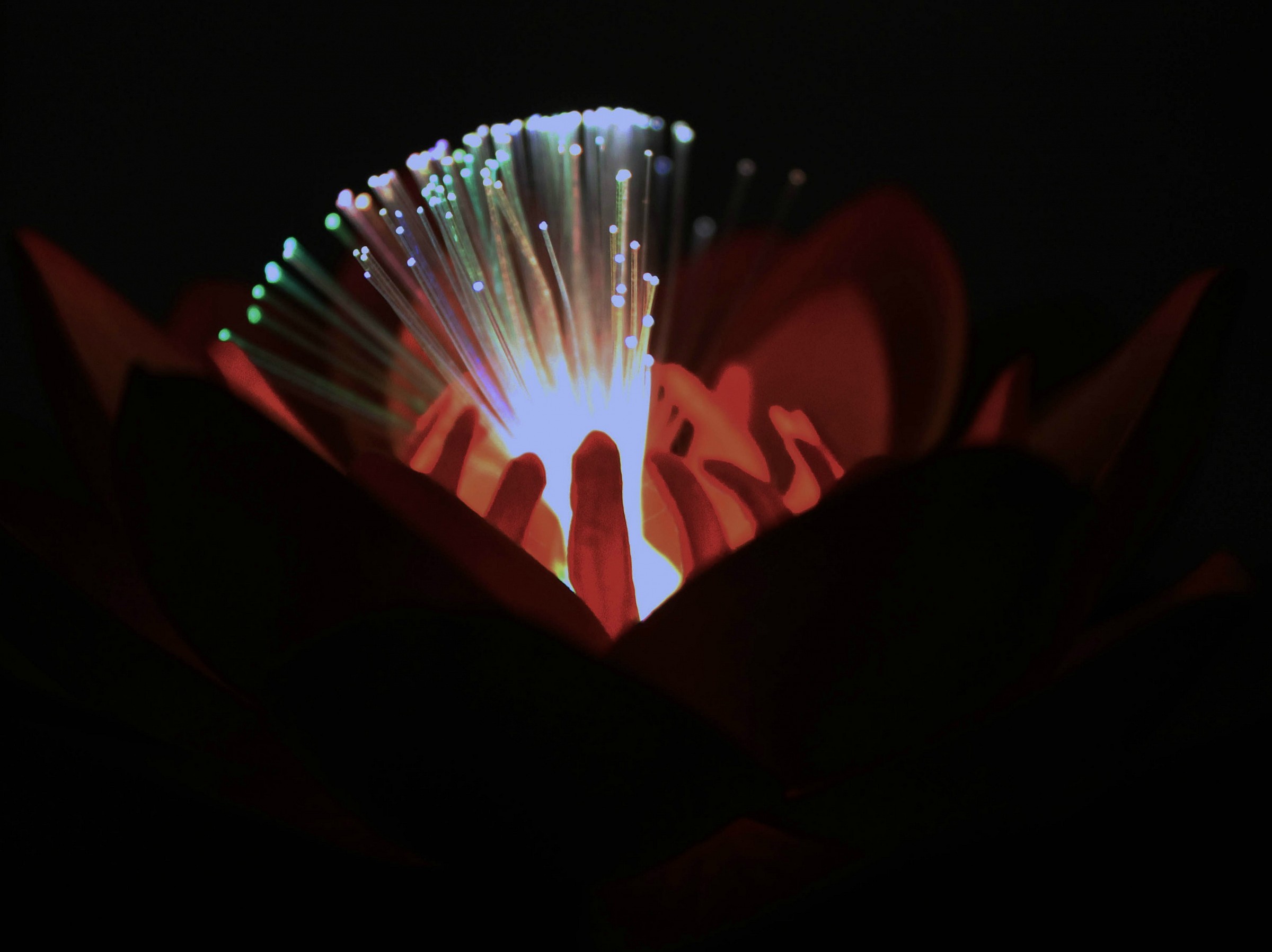 and there was light even in bad nights ..