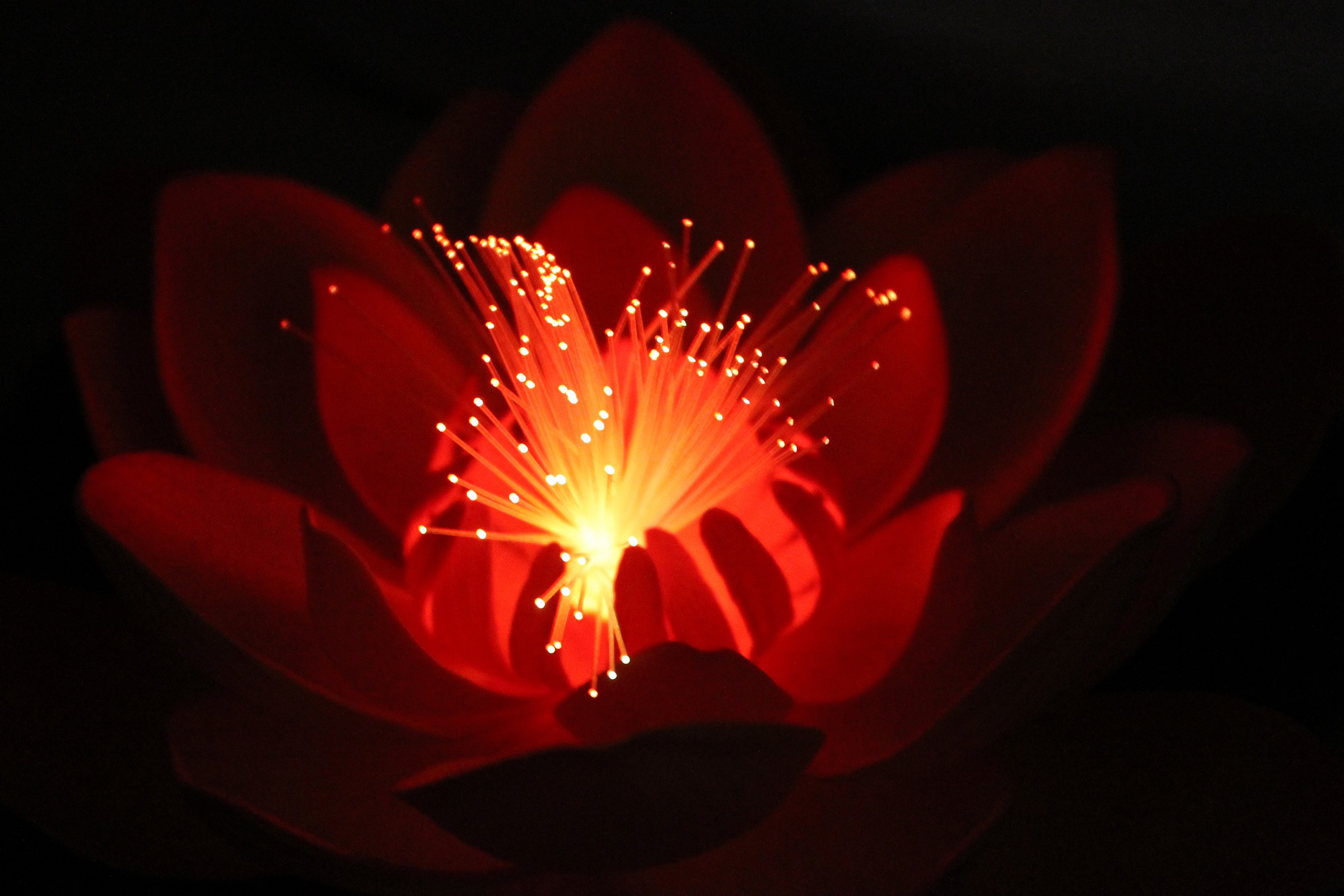 e c'era luce anche nelle notti più cattive..(2)