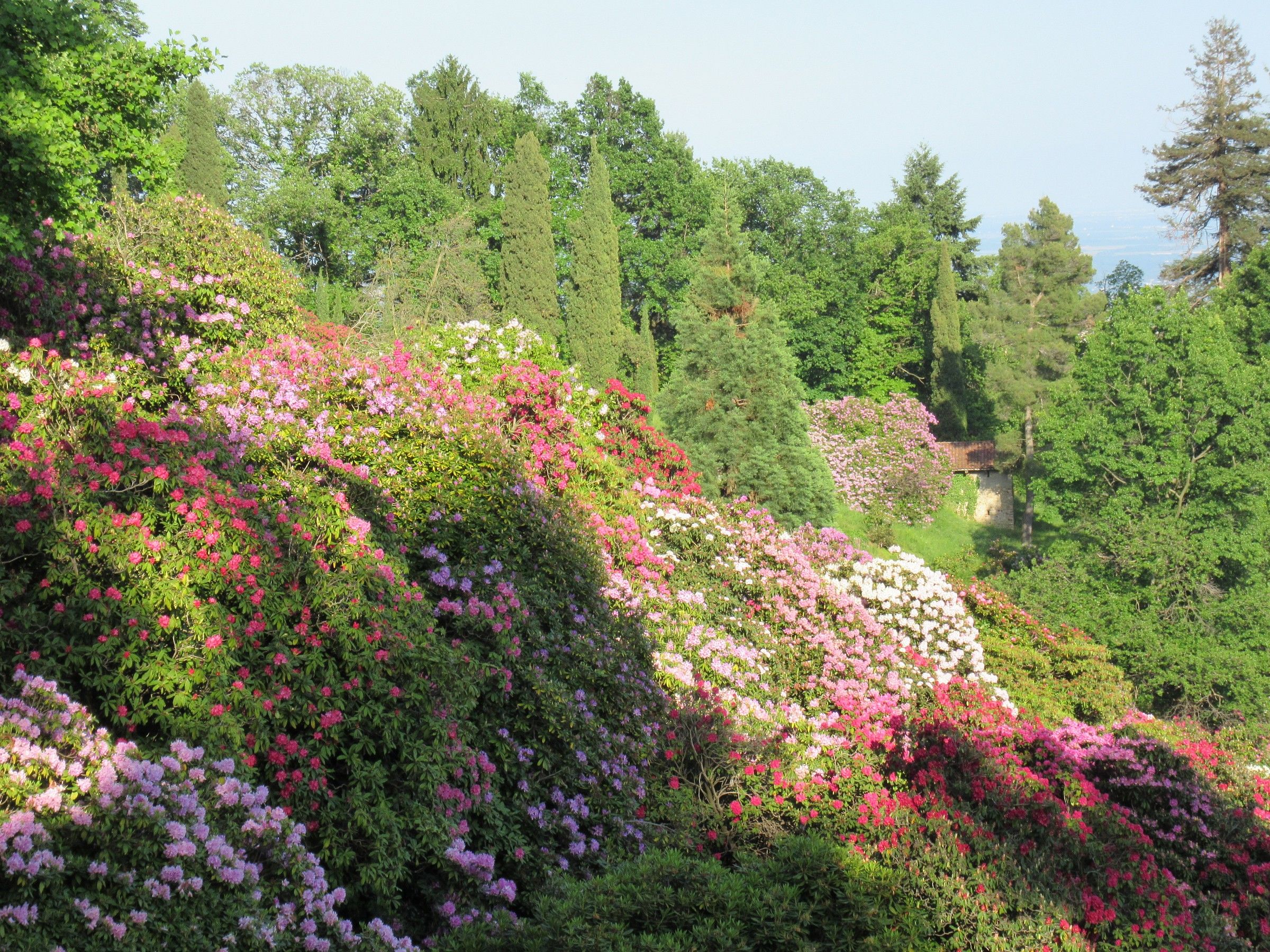 conca dei rododendri