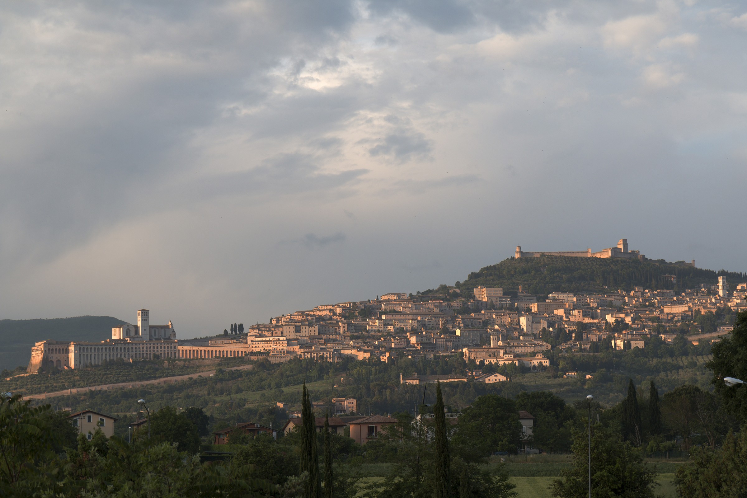 Assisi. Ora "ROSA"