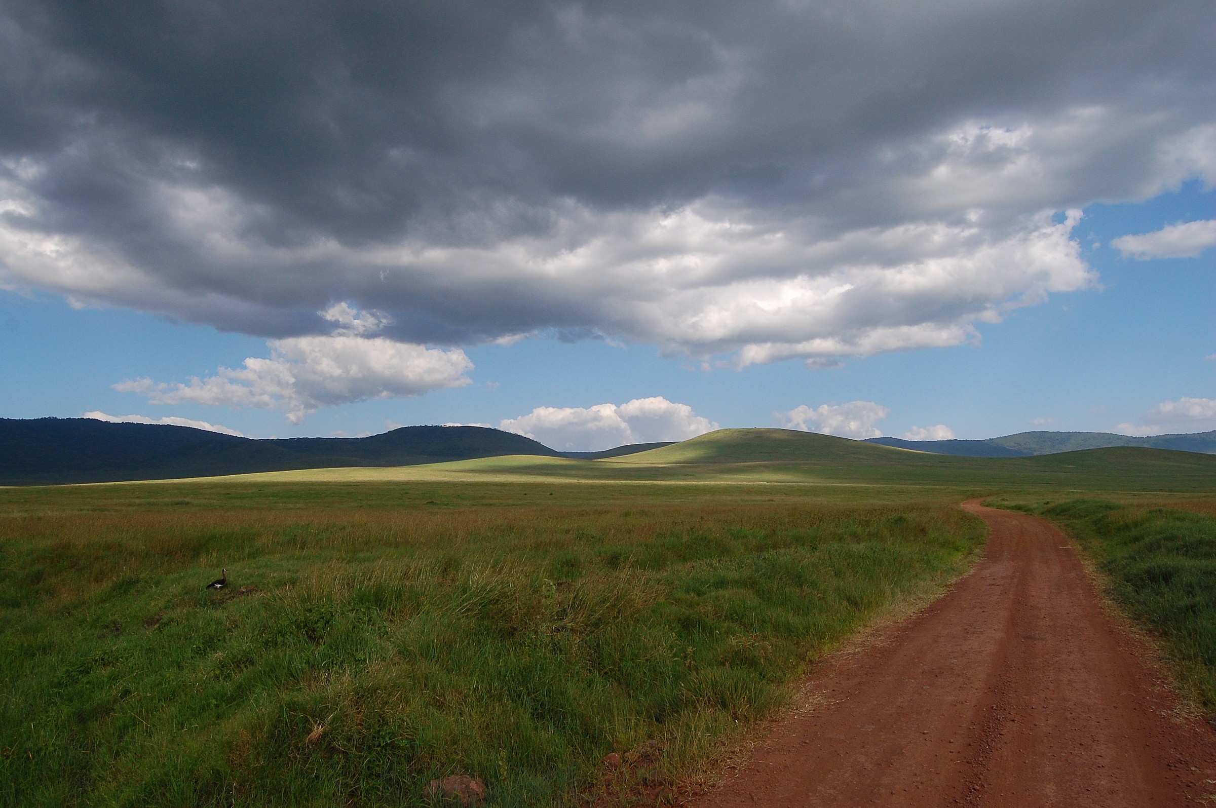 Ngorongoro Crater (Tanzania)