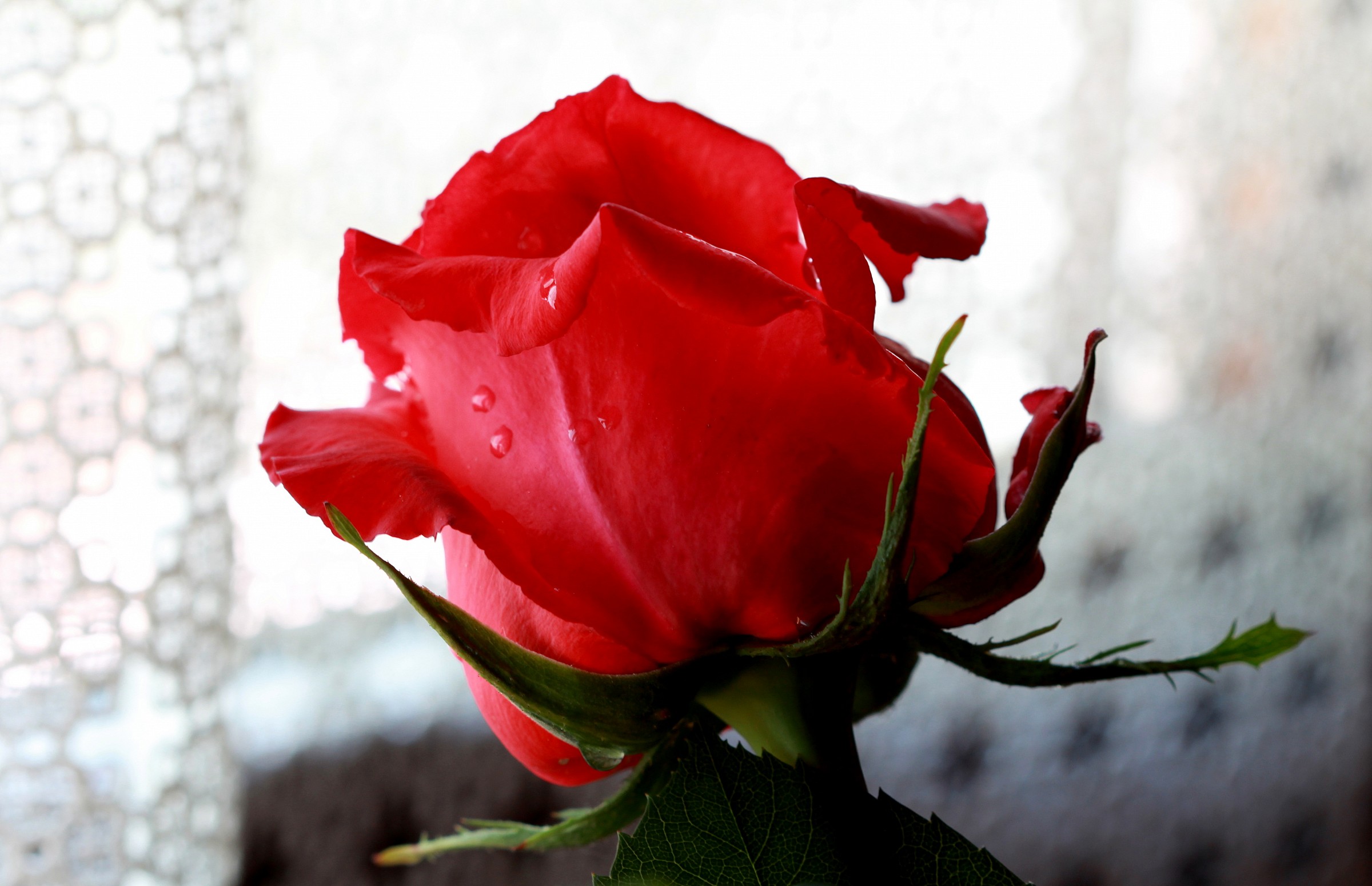 Verso la luce con tanto amore