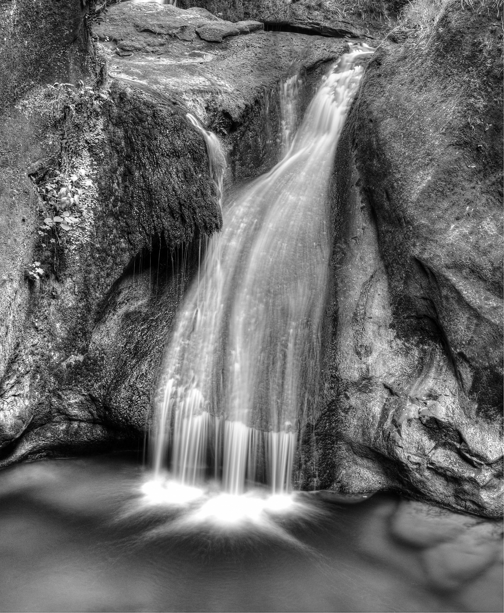 water black and white