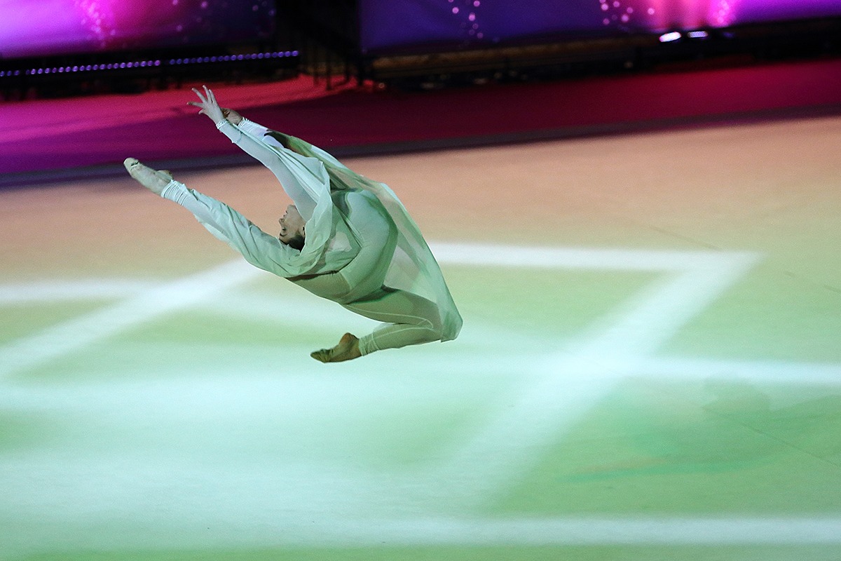 il volo della farfalla