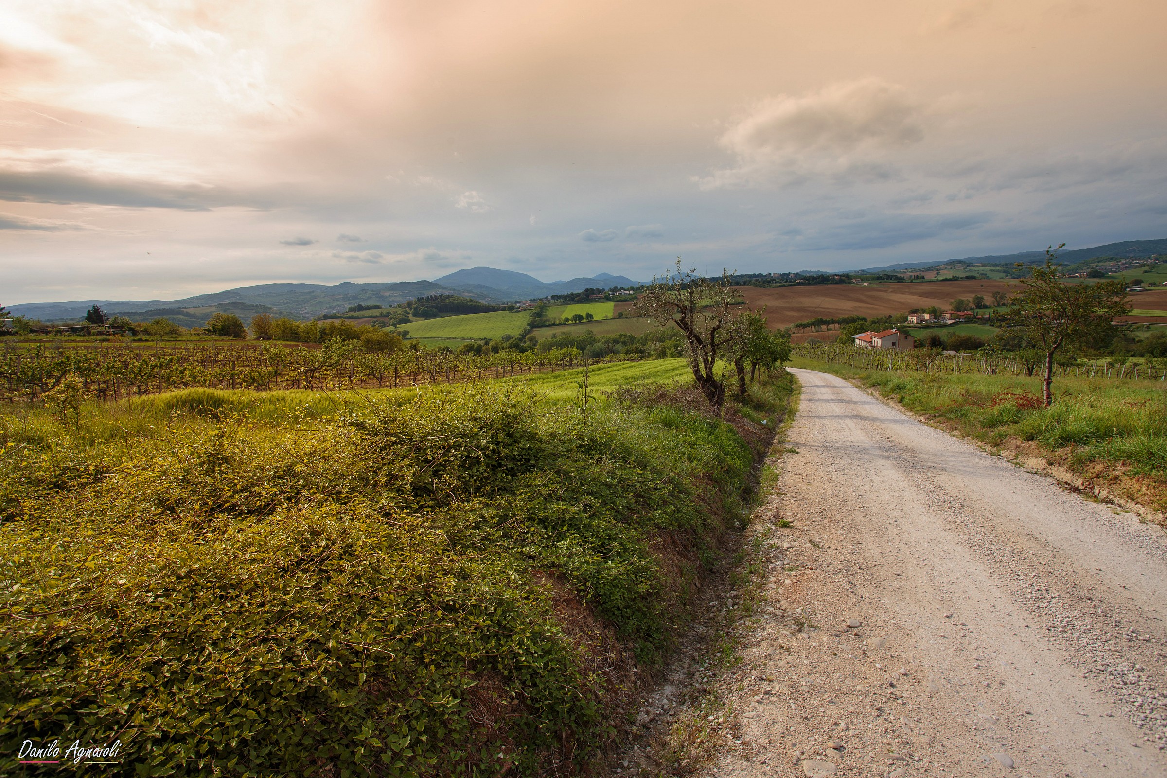 Pomeriggi afosi , in Umbria