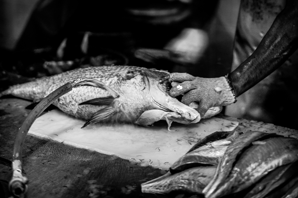Fish Market, Male, Maldives