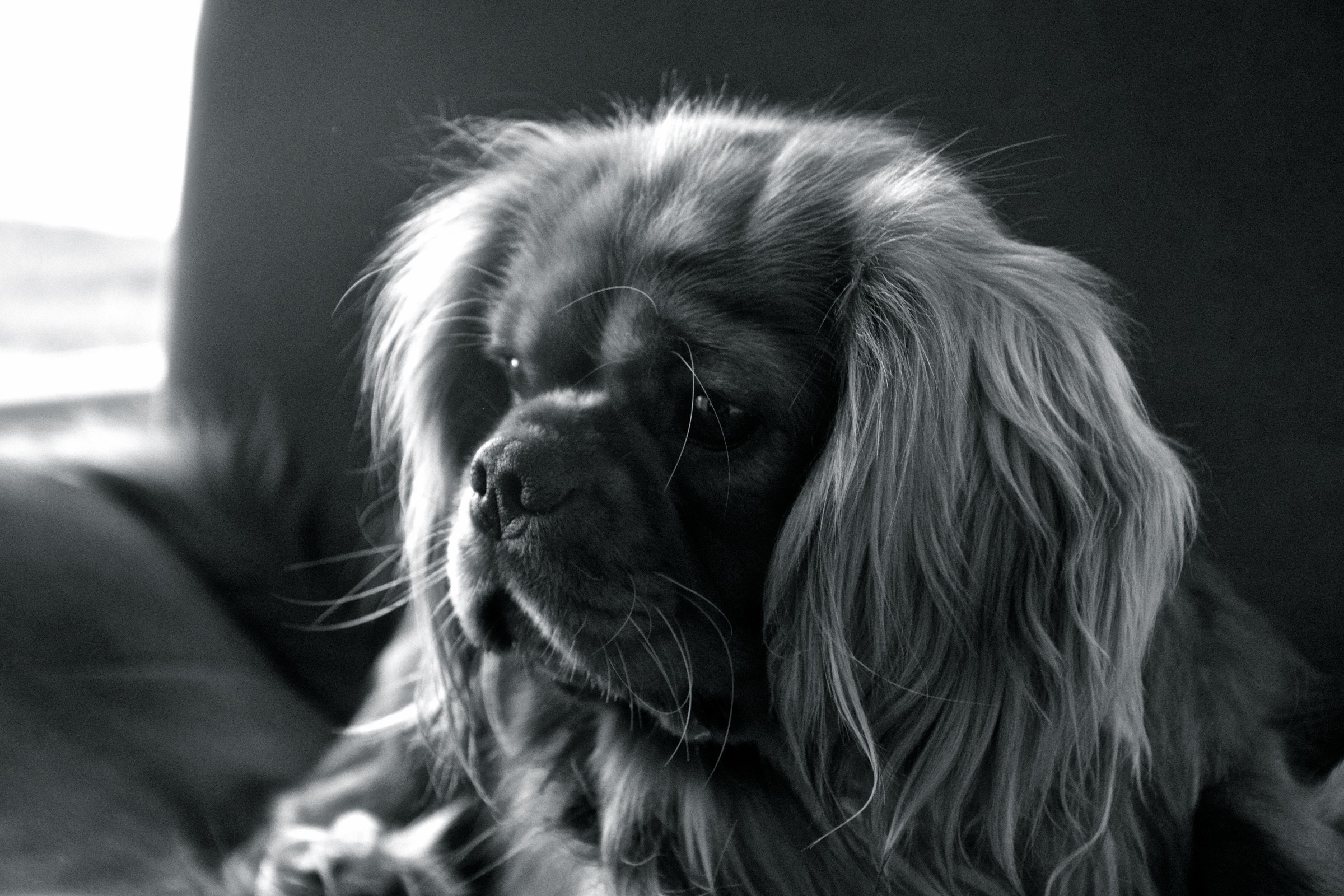 I'm thinking about ...