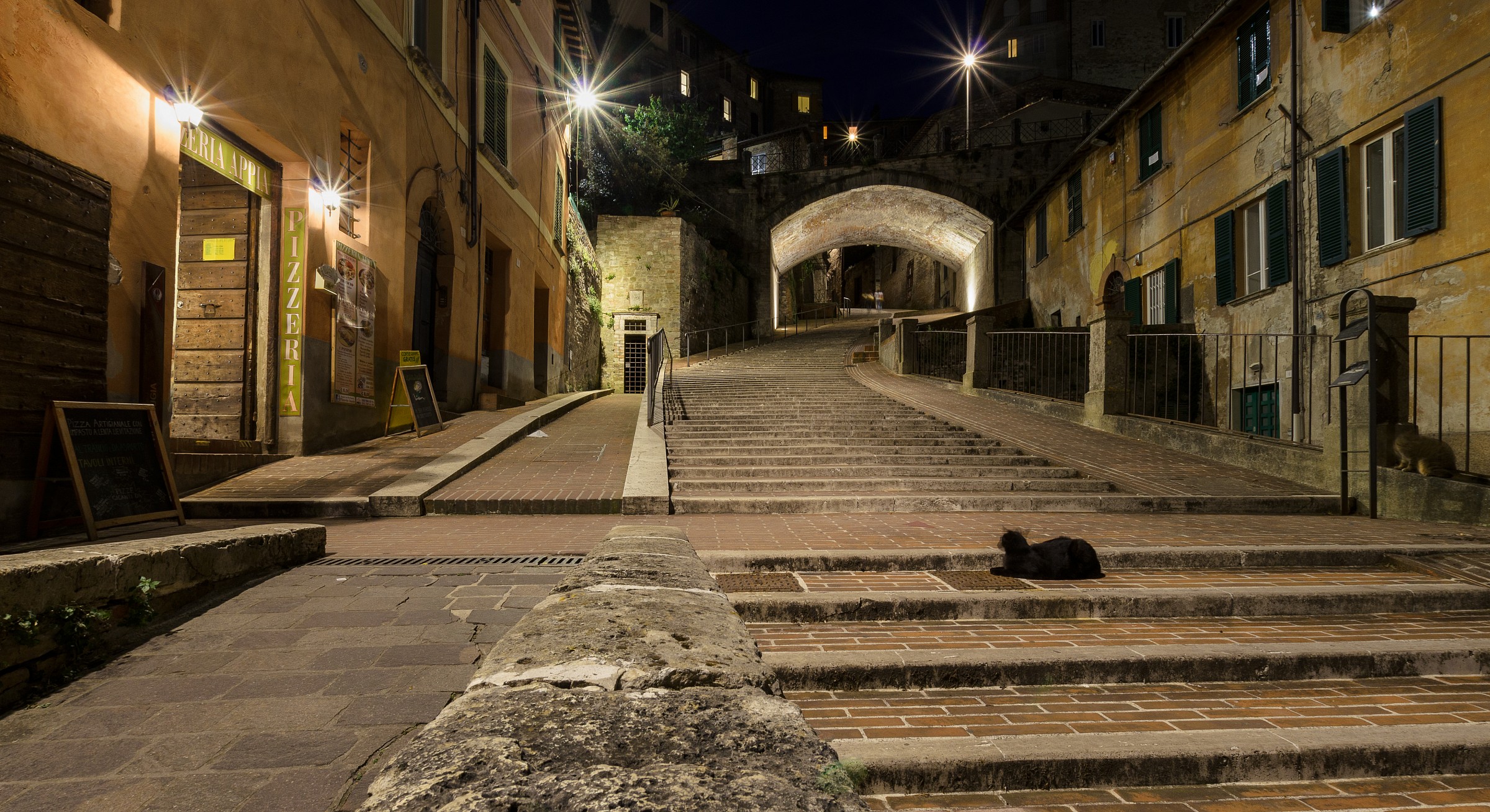 due gatti a via Appia