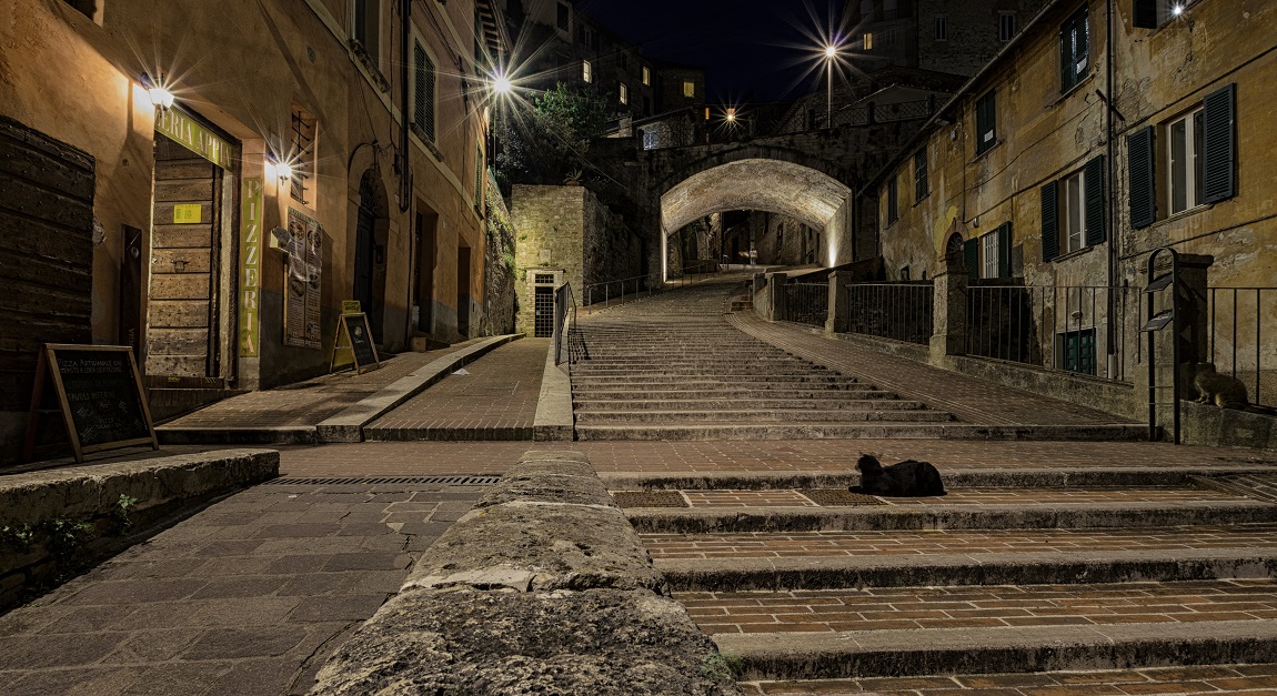 due gatti a via Appia