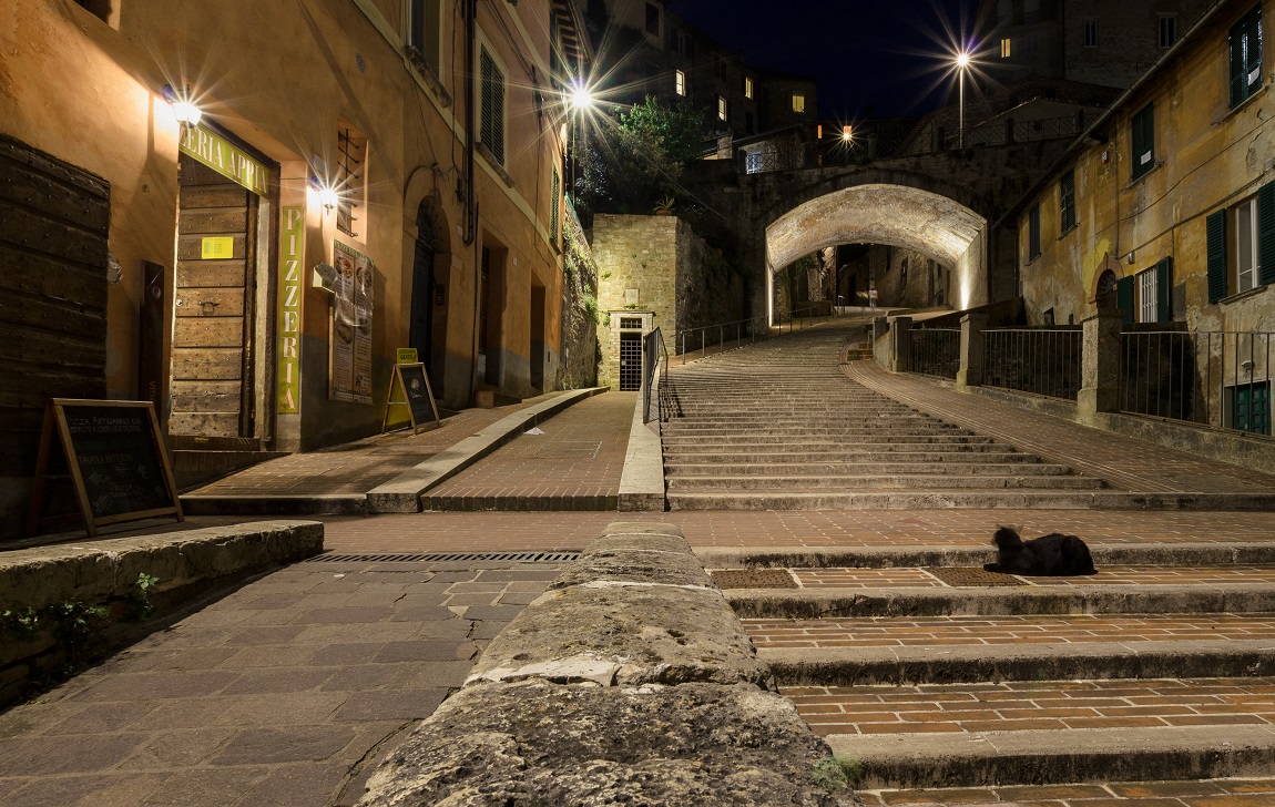 due gatti a via Appia