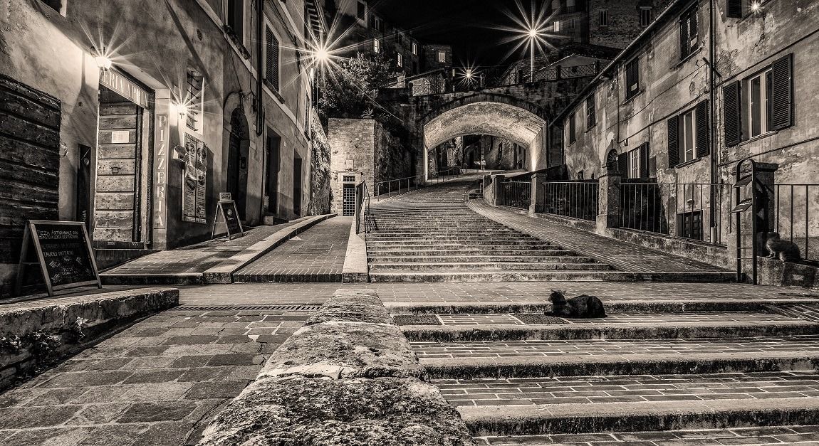 due gatti a via Appia