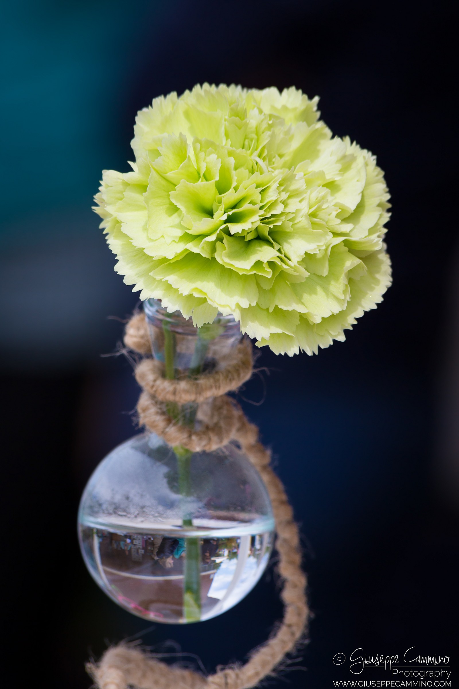 Cruet filled with life