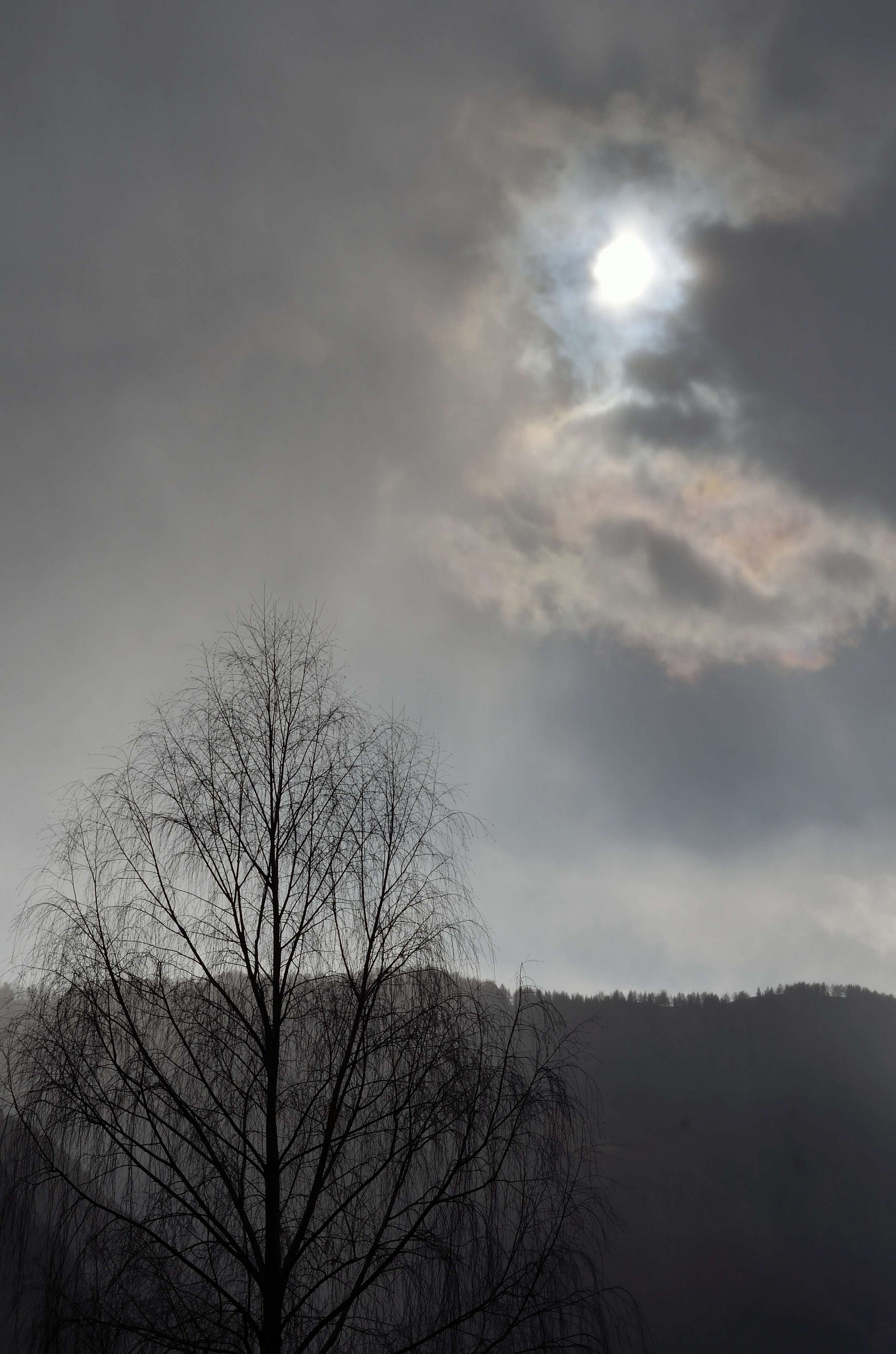 50 sfumature di grigio!!!!!!