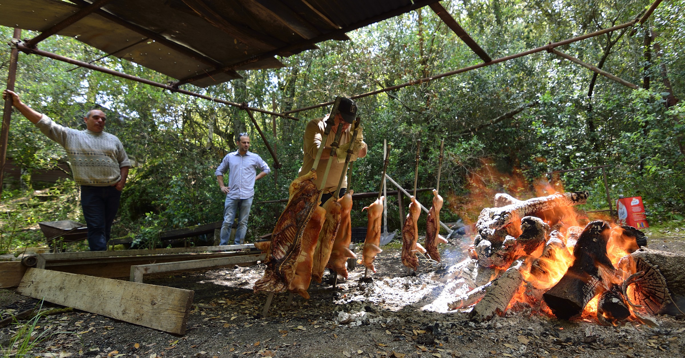 cooking piglets high heat