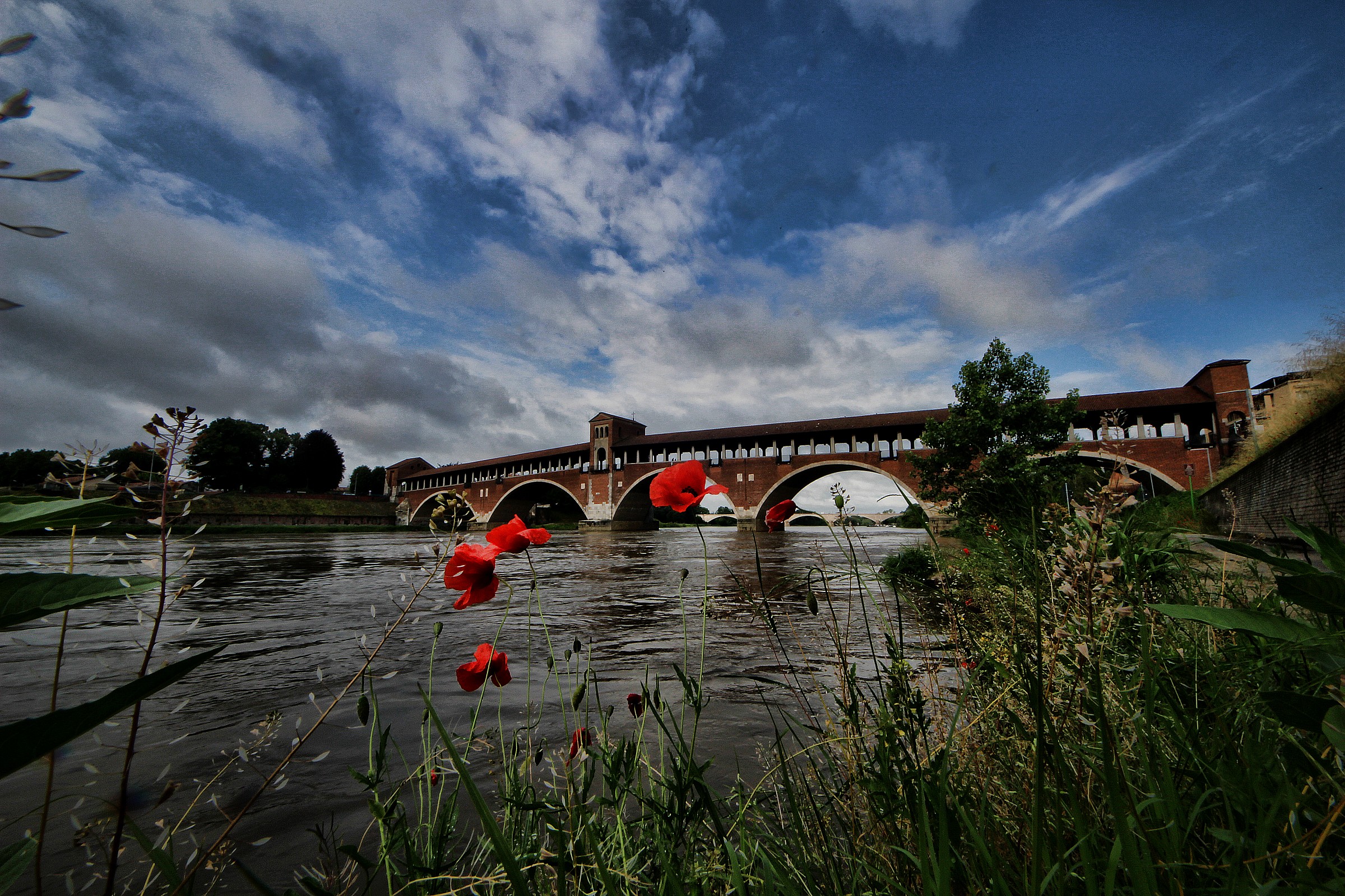 Pavia Ponte Vecchio