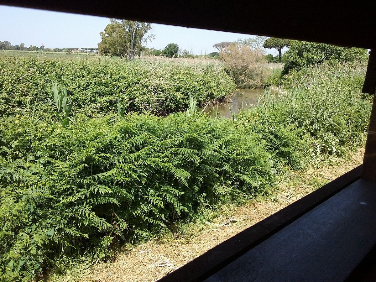 Cicerchia-Fogliano vista dalle fessure