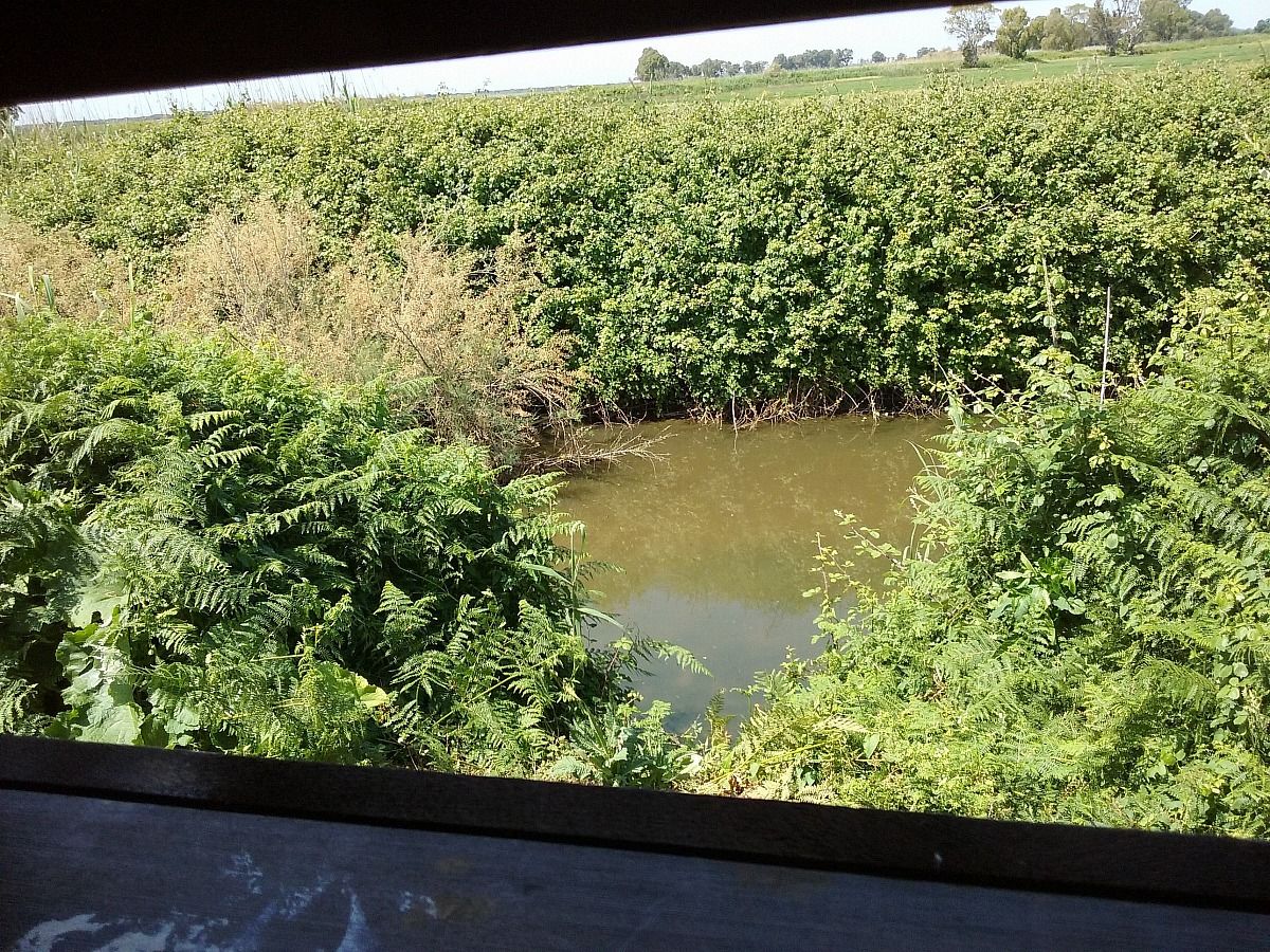 Cicerchia-Fogliano vista dalle fessure