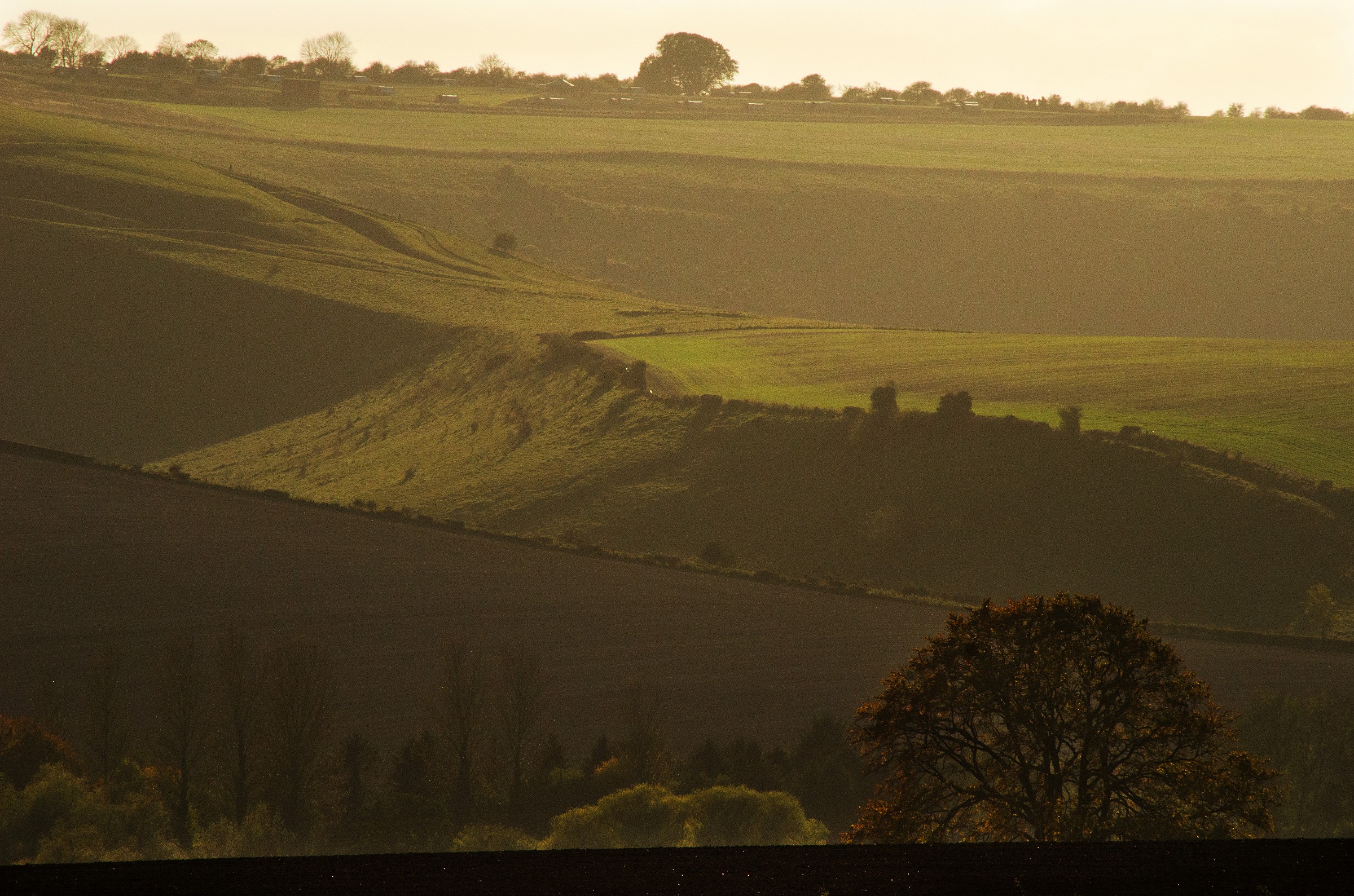 Alla fine della giornata