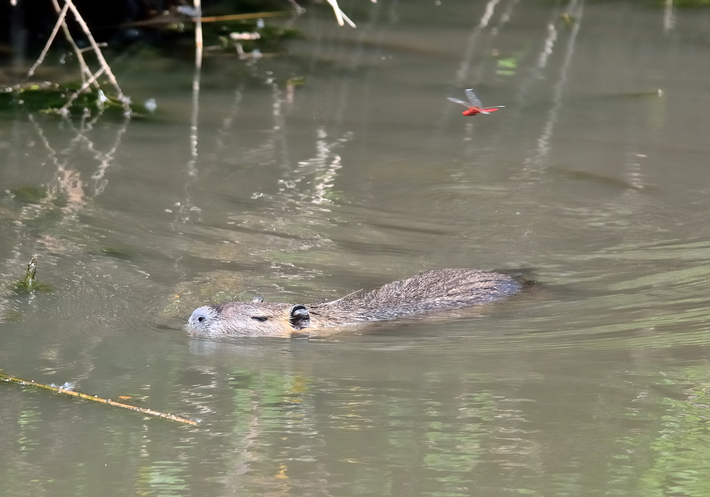 The rocket and the submarine!