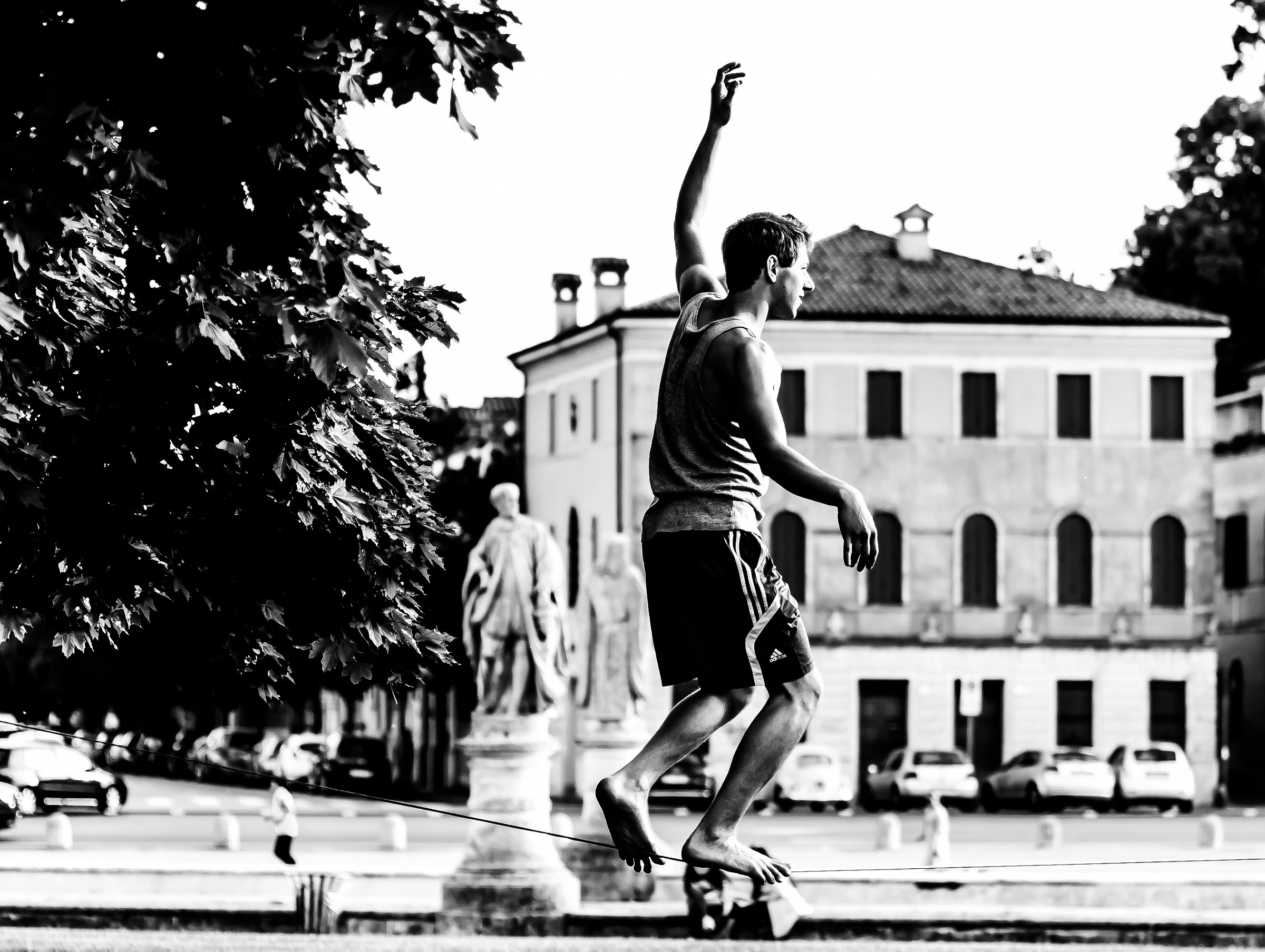 ... I'm not afraid to fall