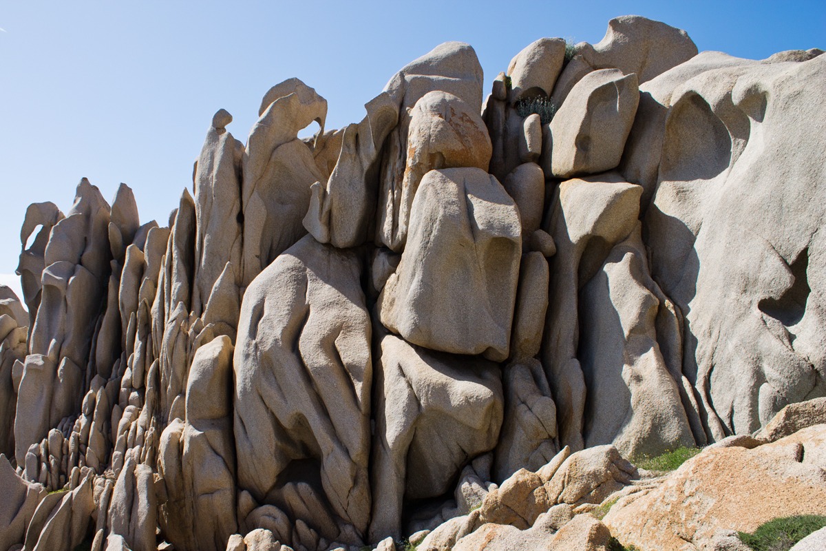 Natural forms and Architecture