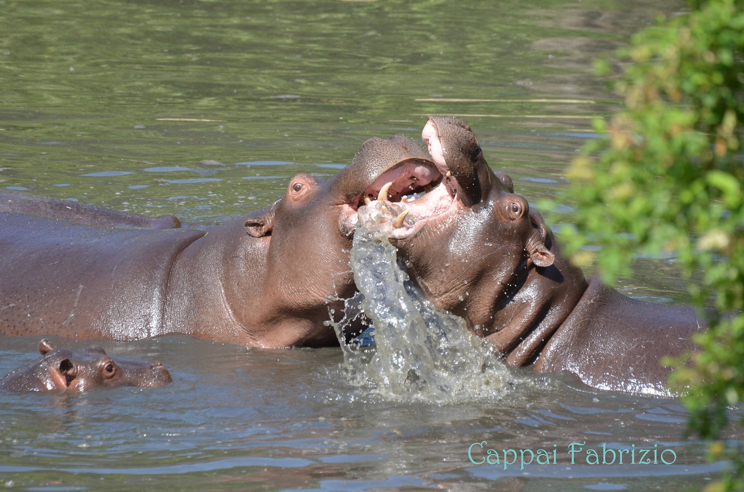 Non si può andare sempre d'accordo...