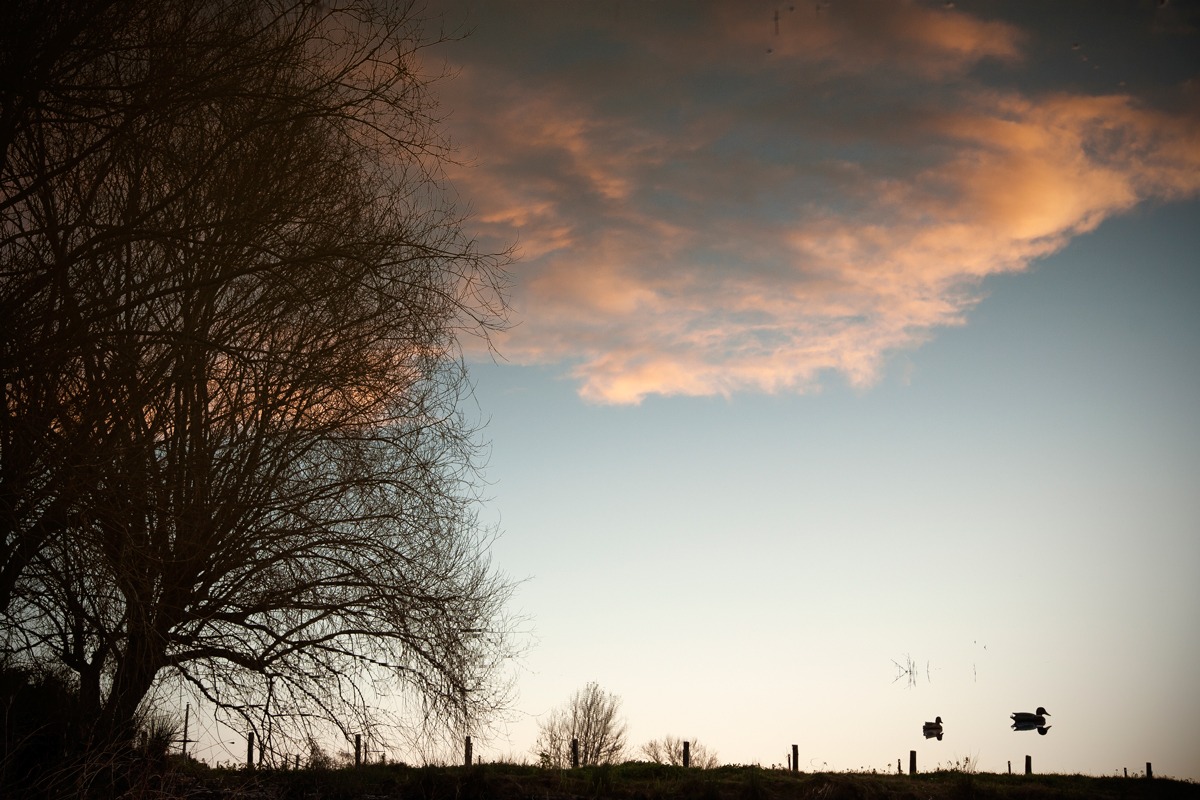 riflesso stagno in inverno