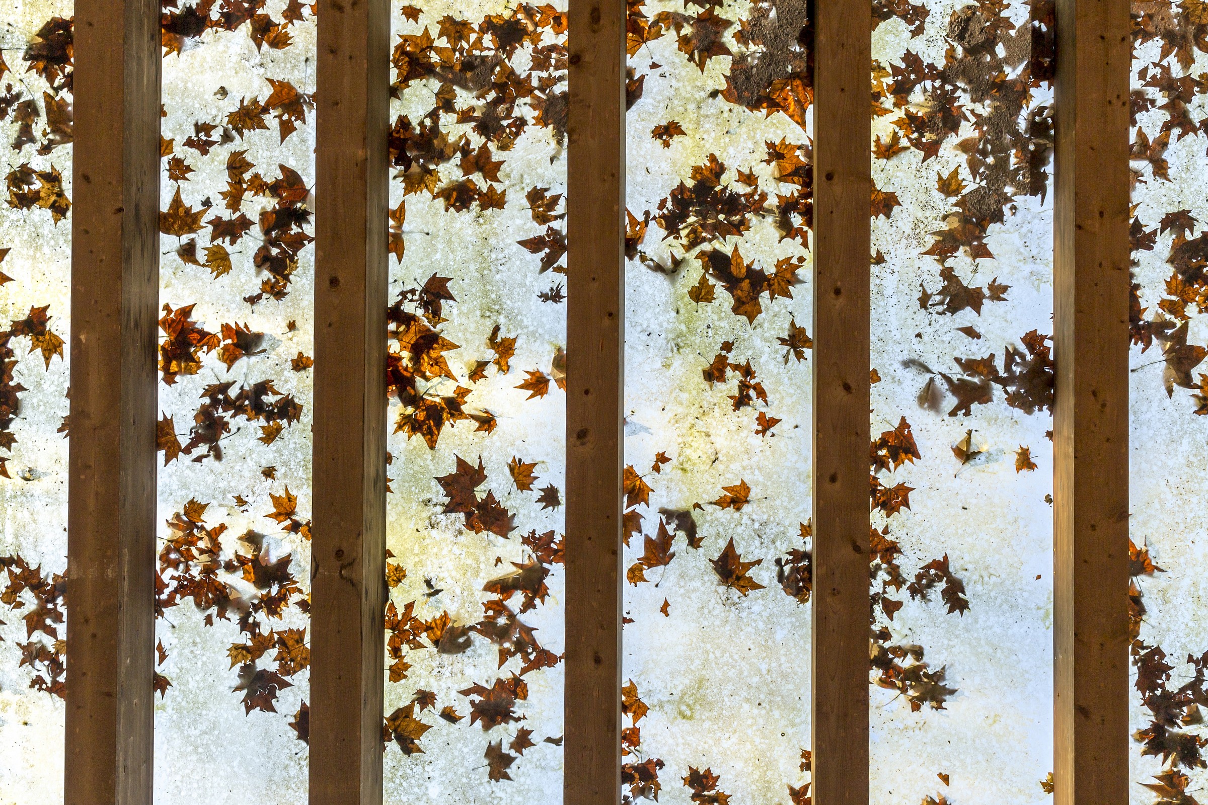 It leaves to the People's Park (re)