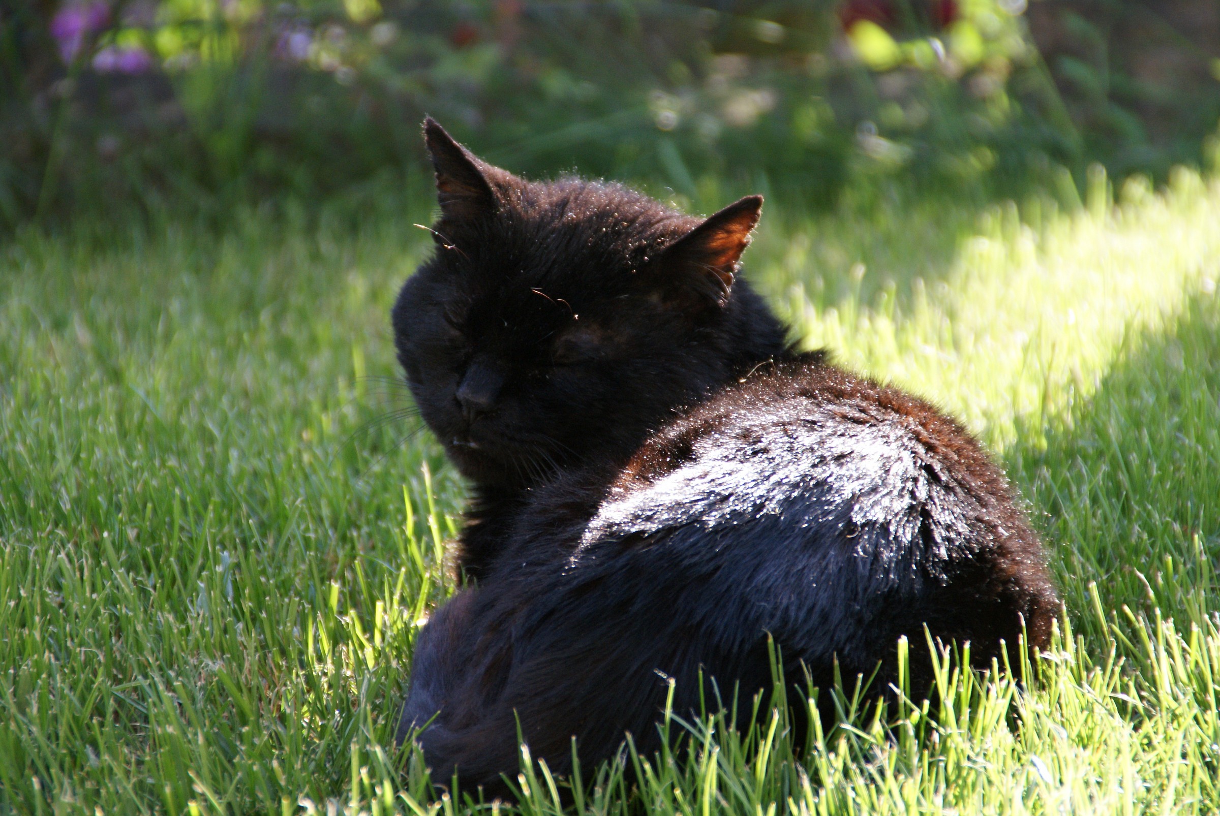 il riposo del guerriero