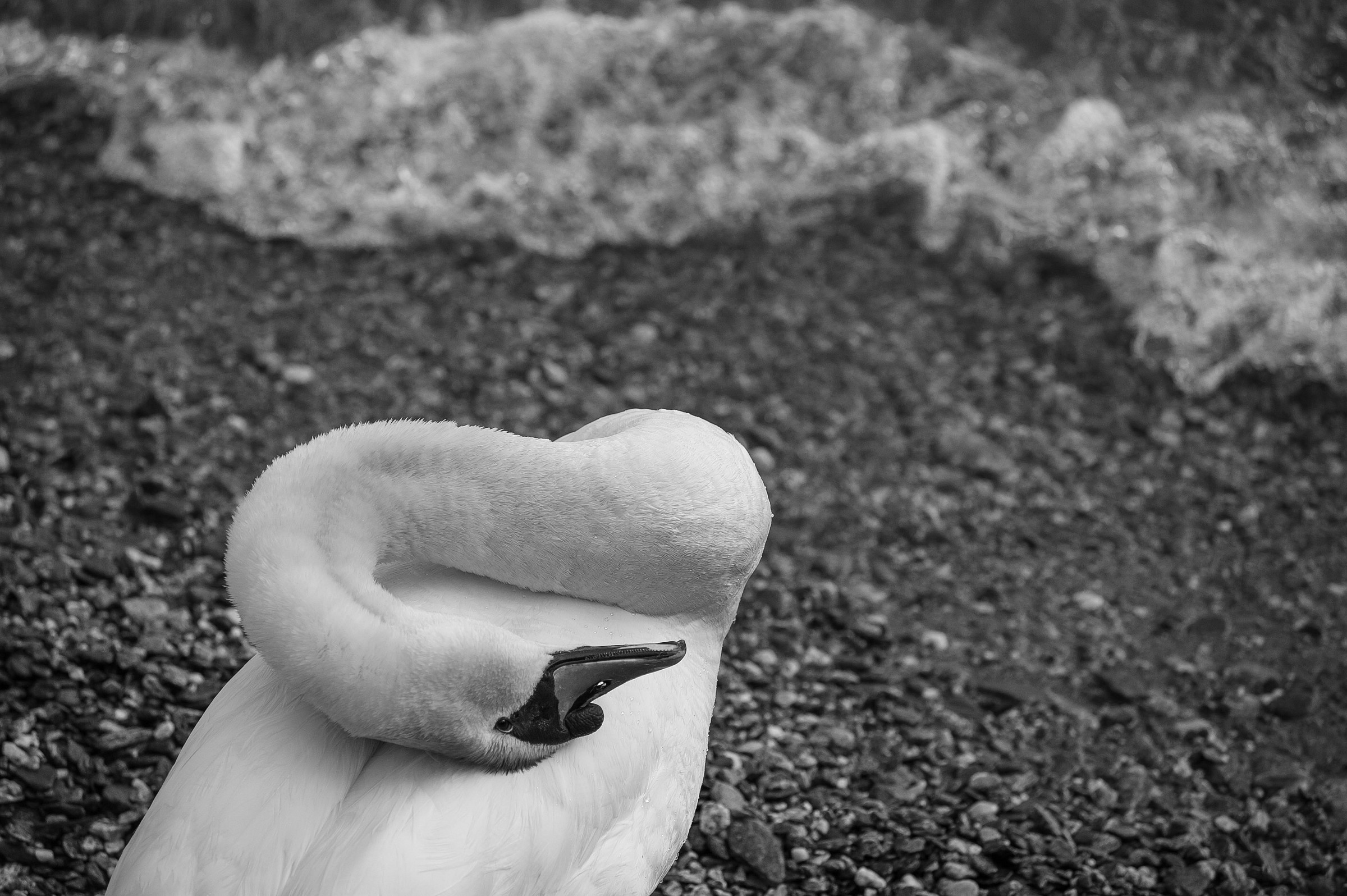 aspettando l onda giusta 1