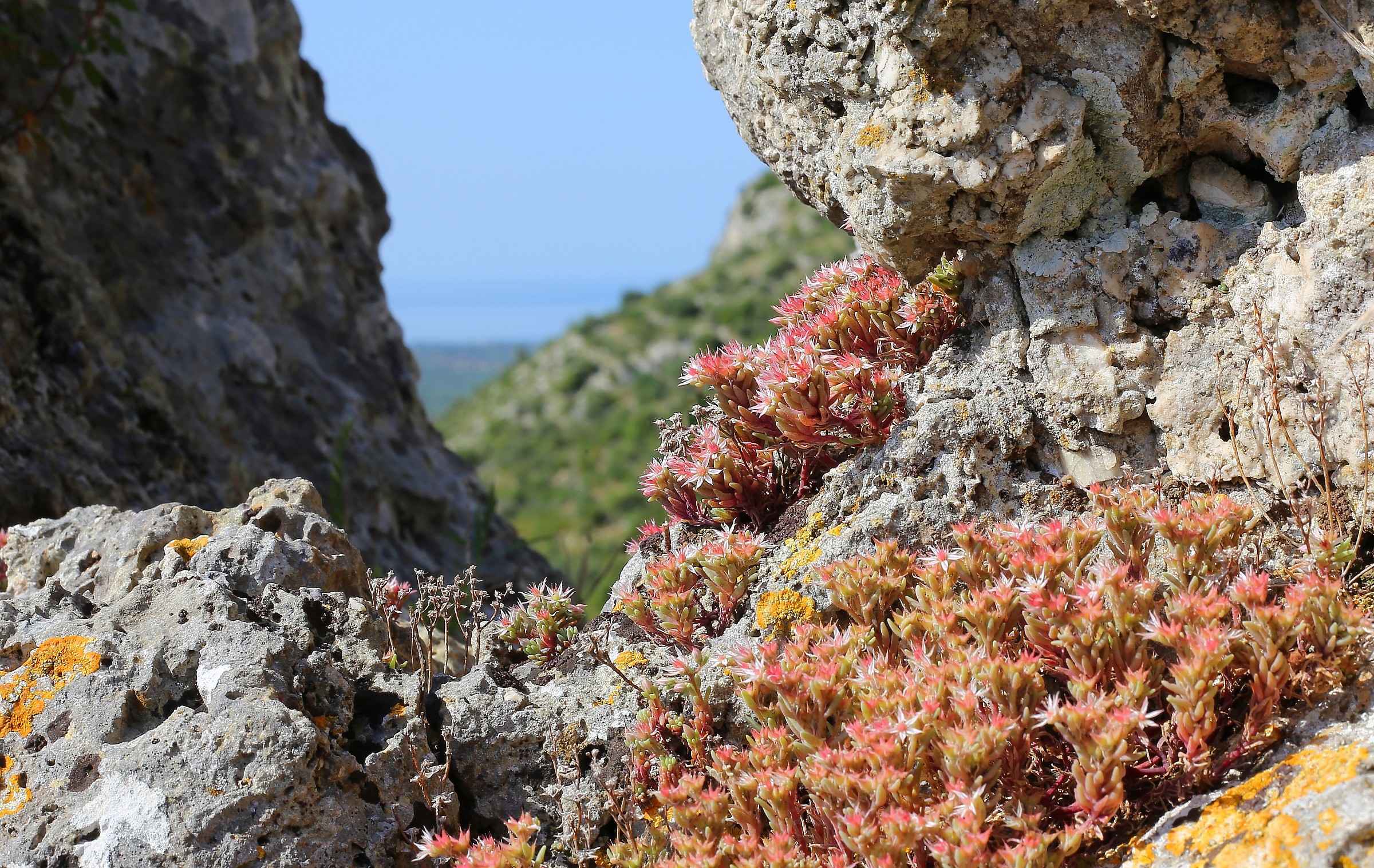 the window on the hills
