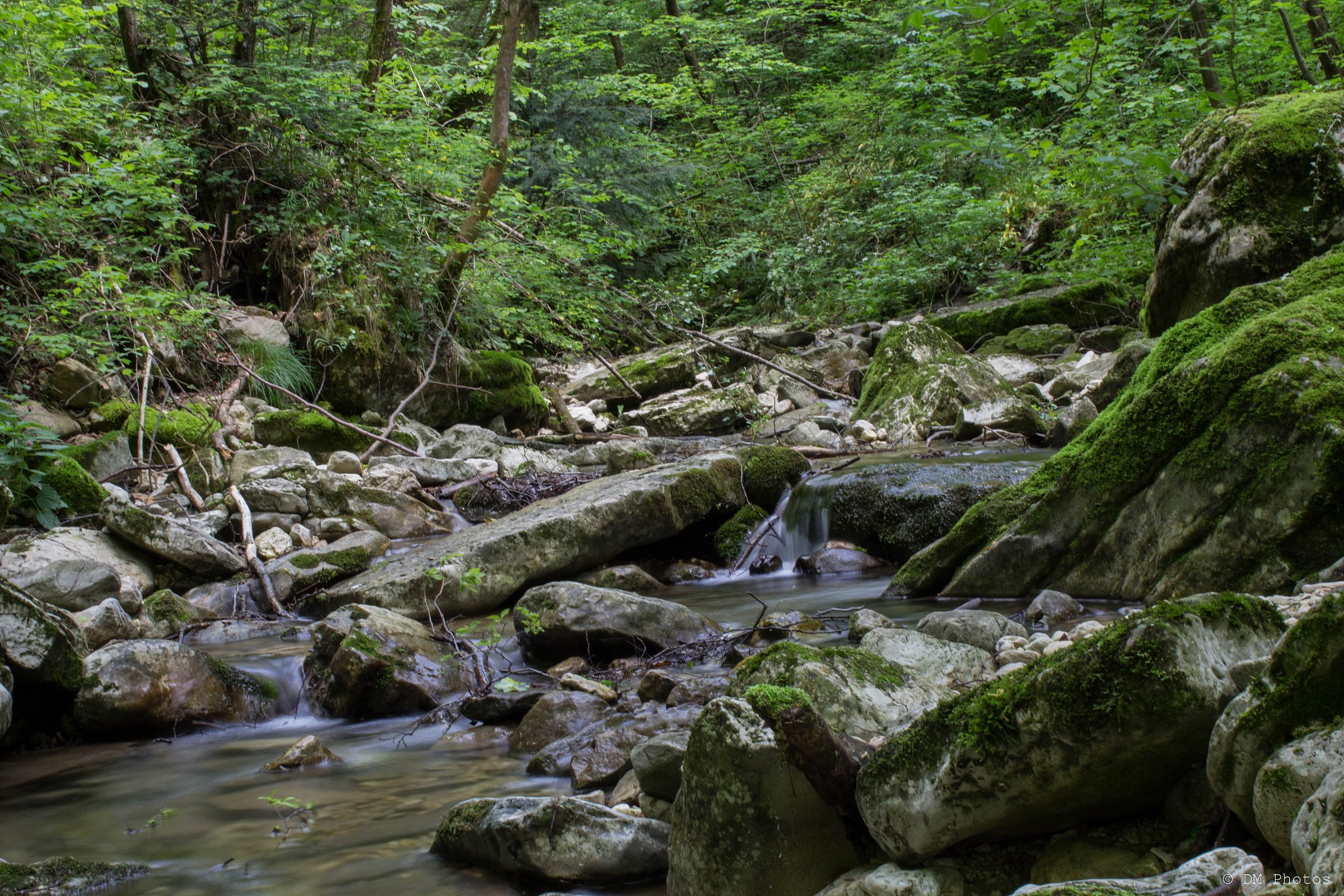 Rio Bissola (First Long-exposure)
