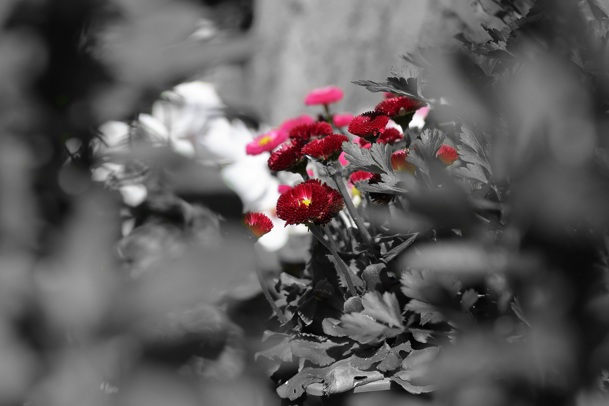 ...Lezioni di Mask...